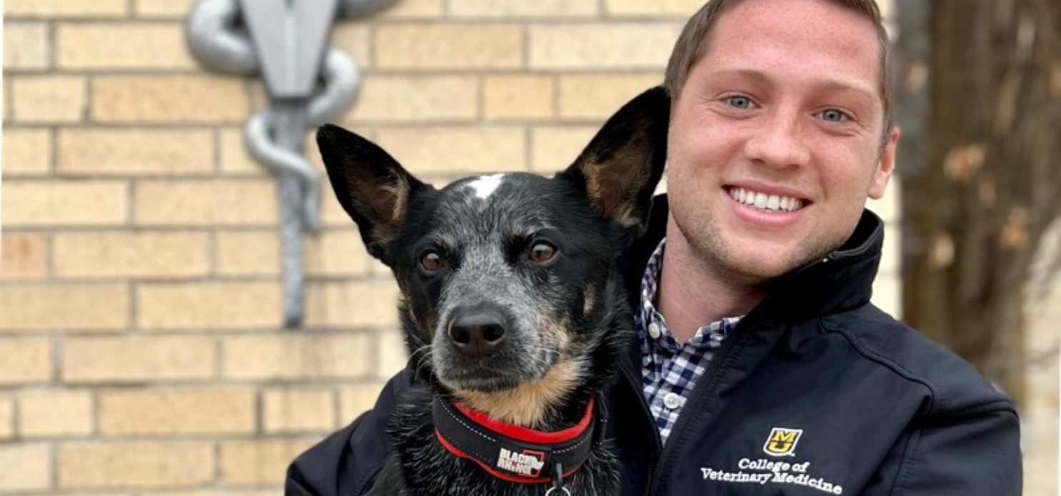 How My NVA Externships Inspired Me to Start My Career in this Community