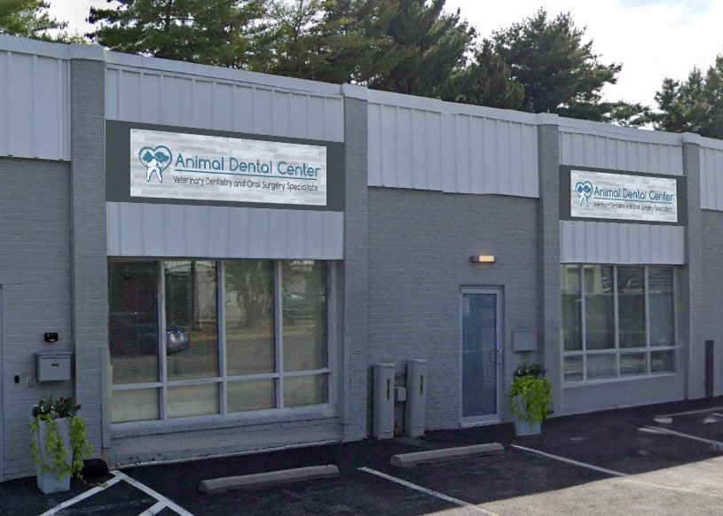 Animal Dental Center Opens New Annapolis Location