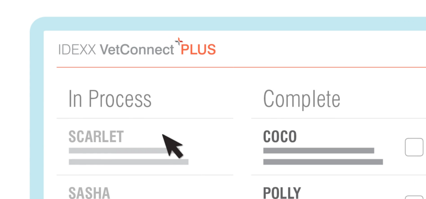 IDEXX VetConnect PLUS Feature Highlight