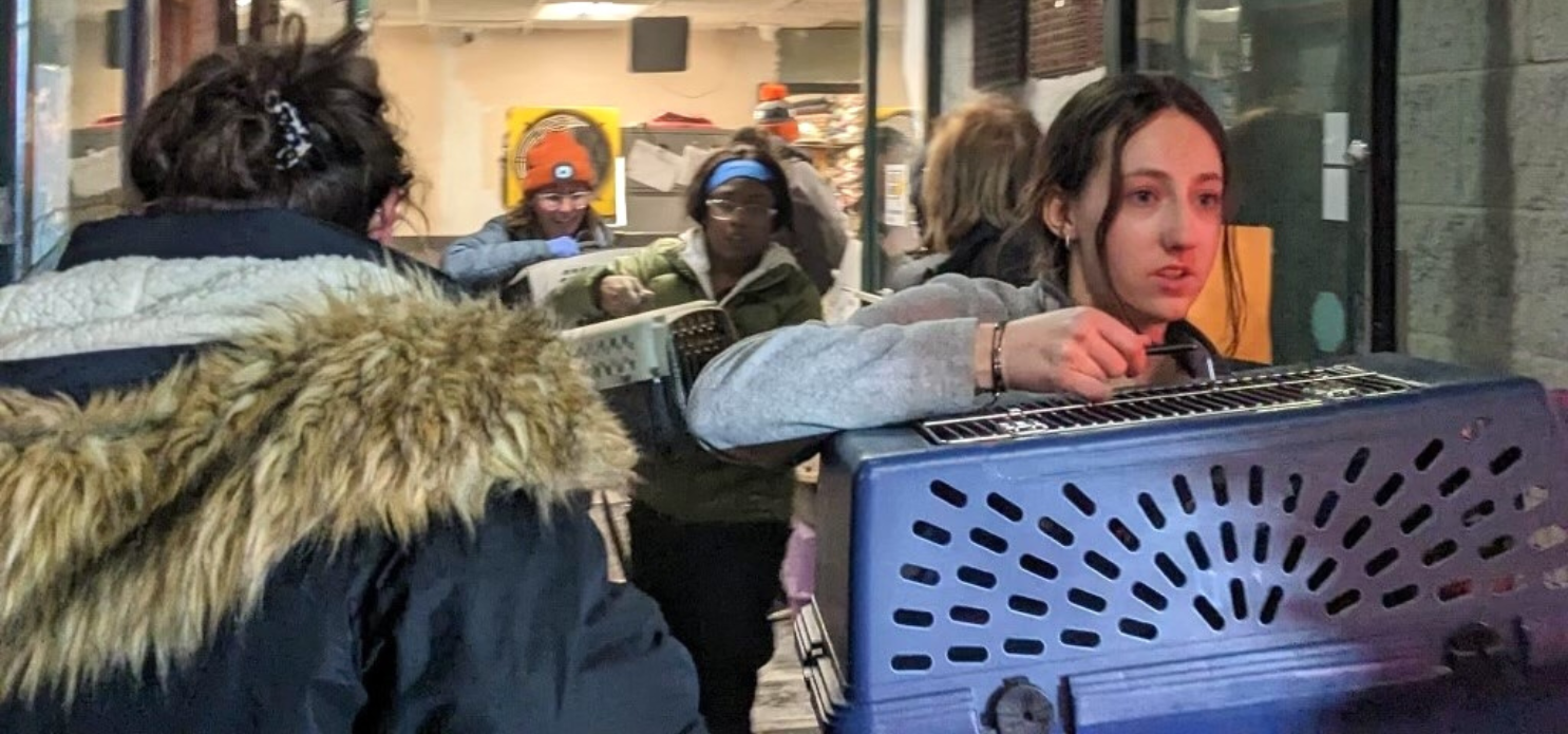 Midwest Animal Hospital Rescues 97 Animals After a Fire Engulfs a Local Shelter