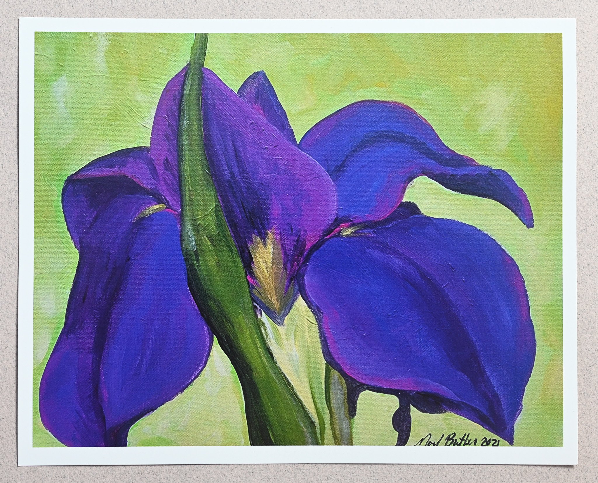 Purple Iris Art Print
