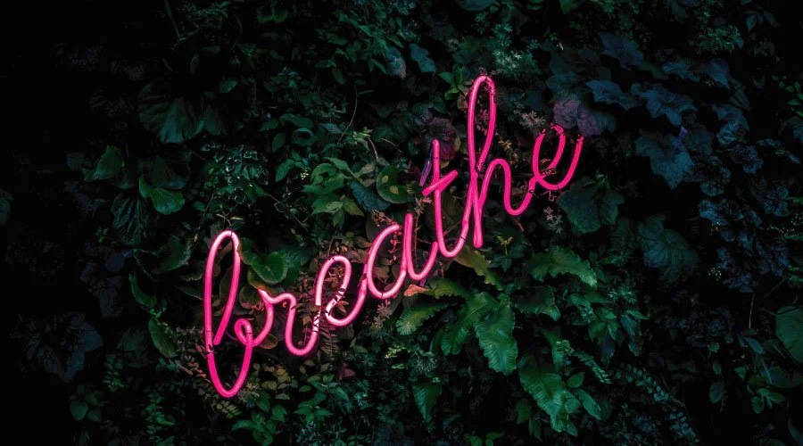 breathe written in neon pink cursive against a leafy green background