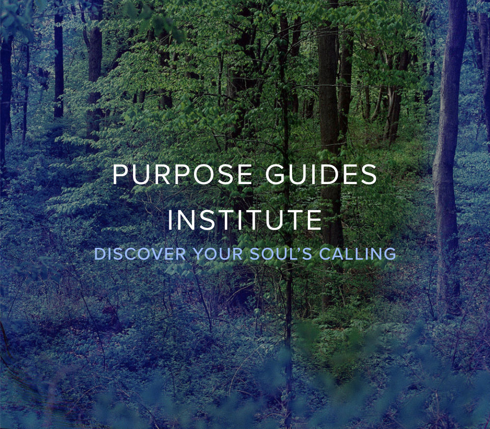 Forest background with text 'Purpose Guides Institute' and 'Discover Your Soul’s Calling' overlayed.