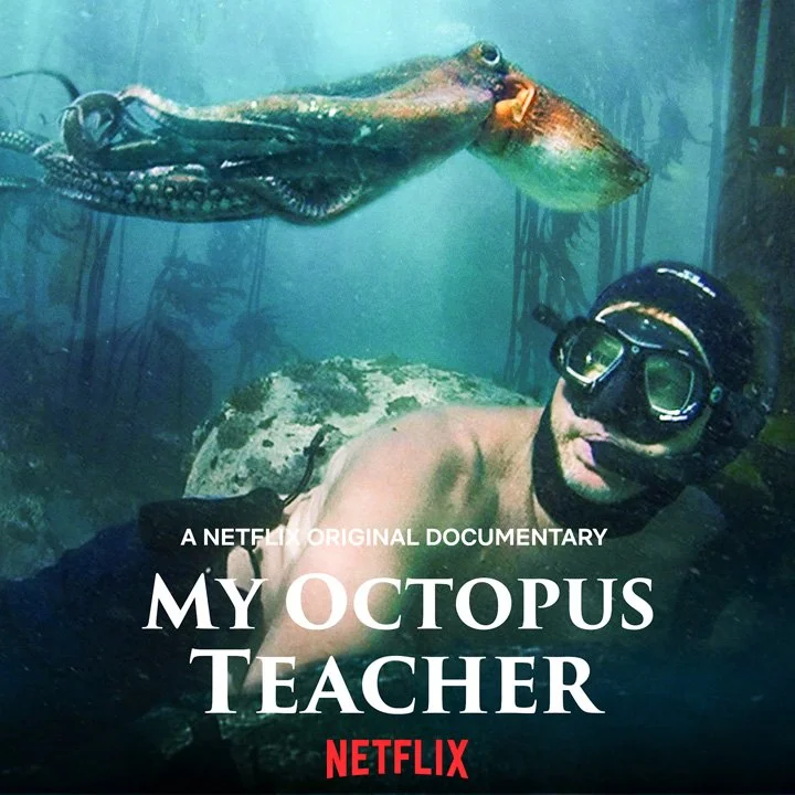A man underwater with an octopus, promotional image for Netflix documentary 'My Octopus Teacher'.