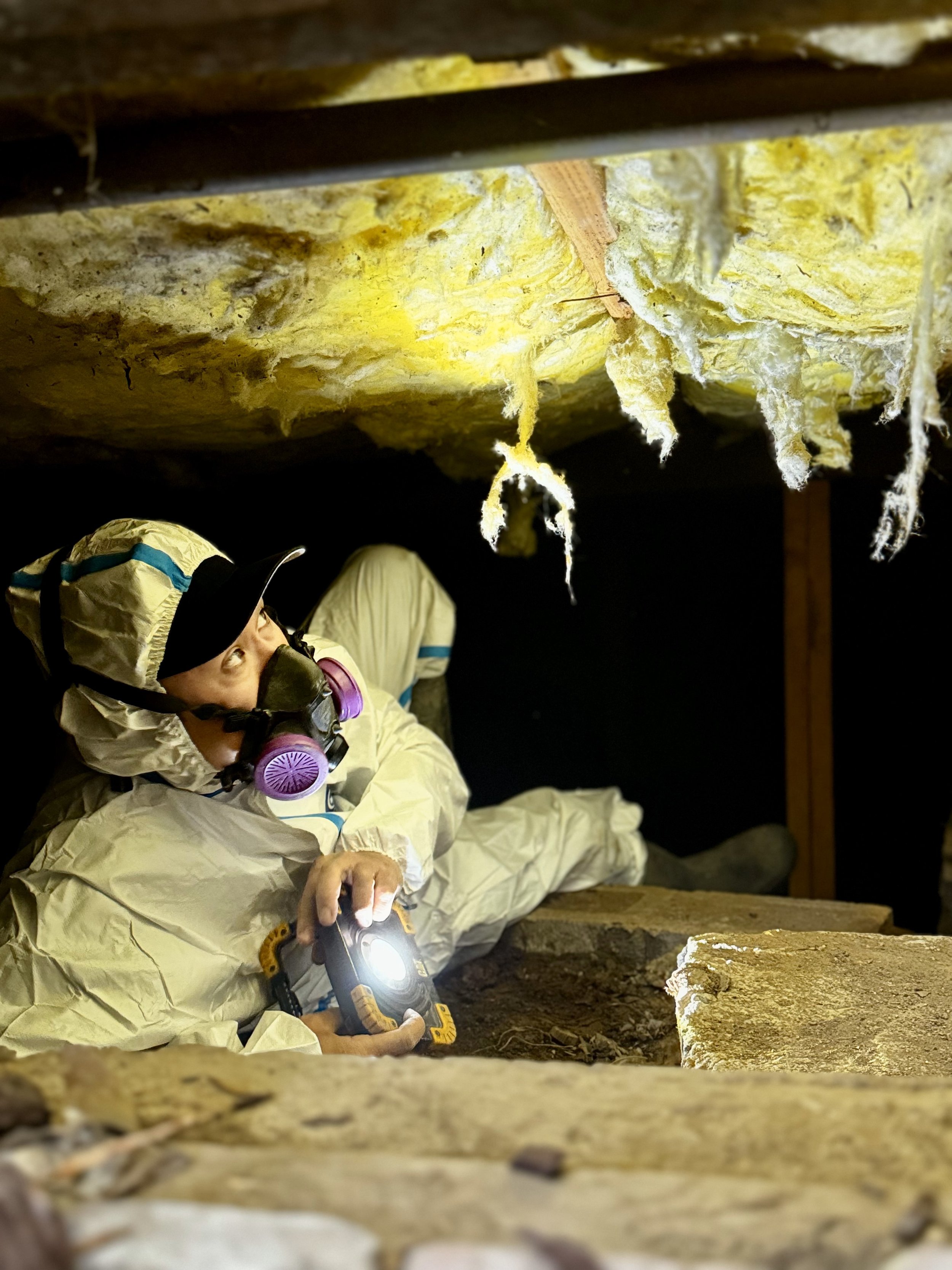 What Home Inspectors Look for Underneath a House—and Why Foundations Matter
