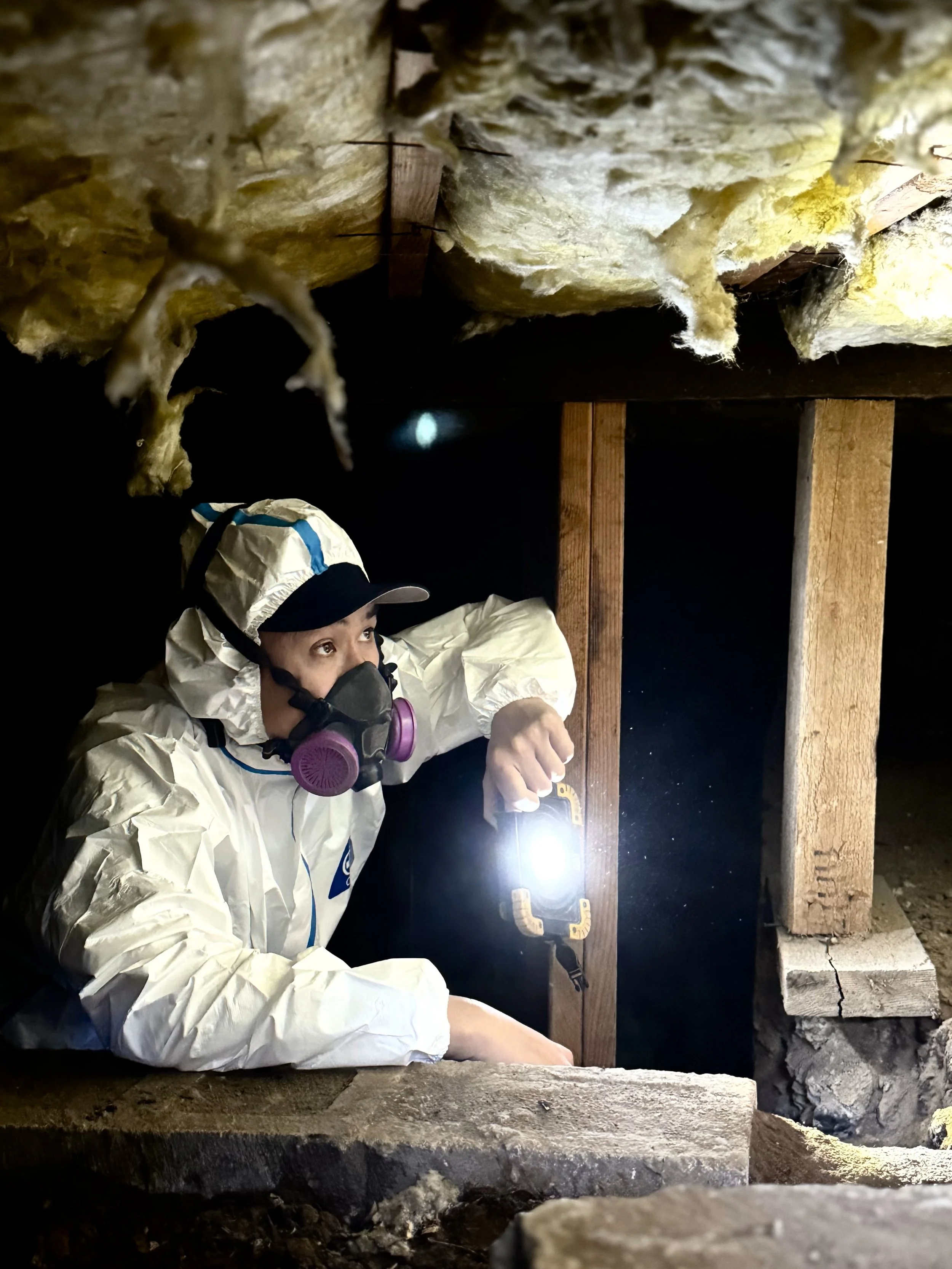 Can You Perform Your Own Home Inspection? What DIY Homebuyers Should Know