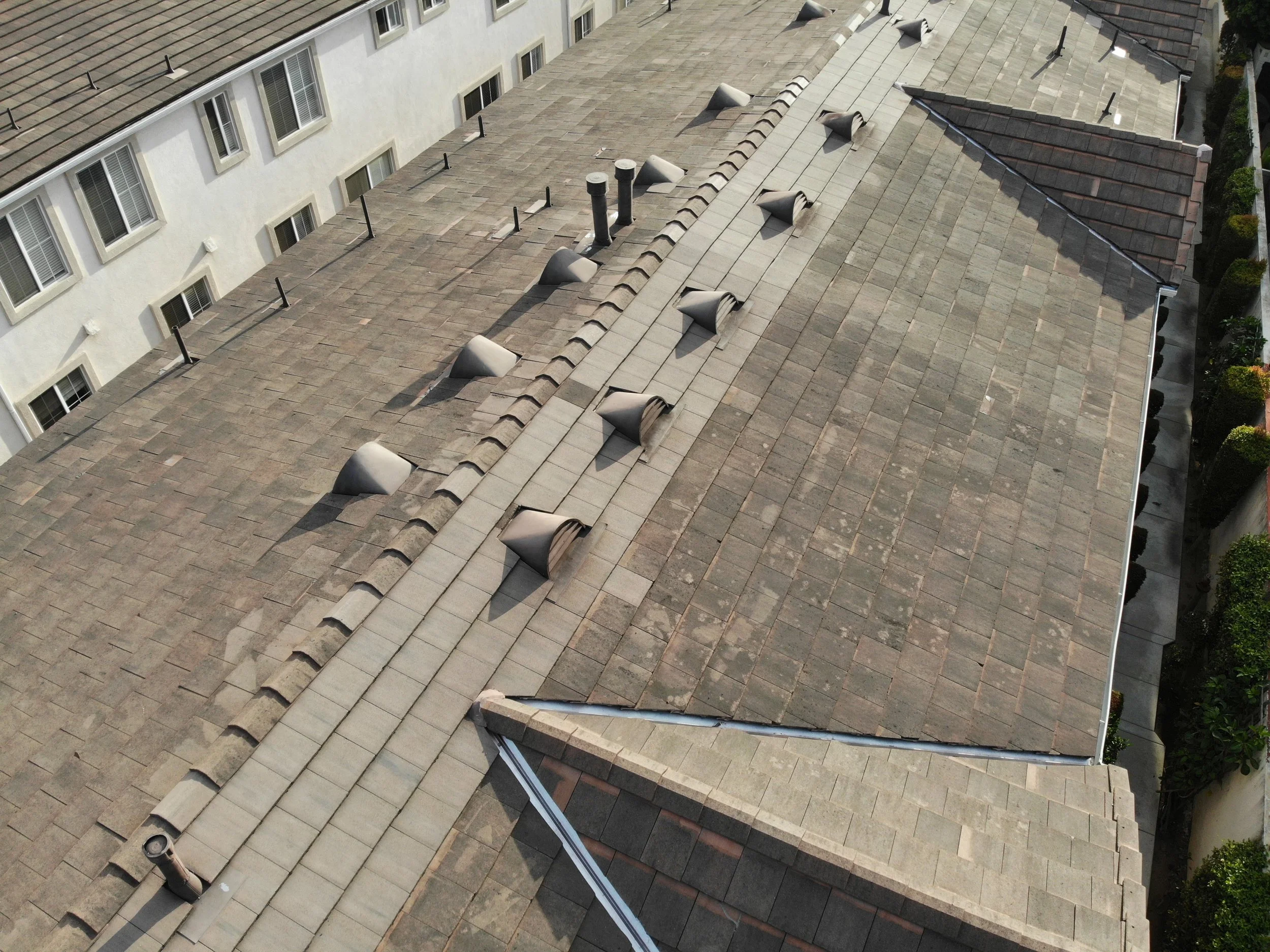 DJI_0981.JPG