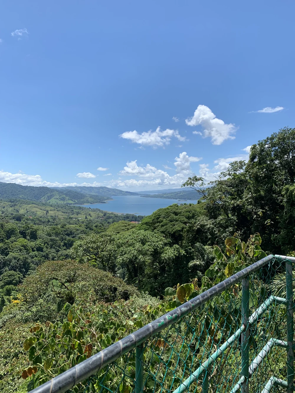 IMG_4233.jpeg