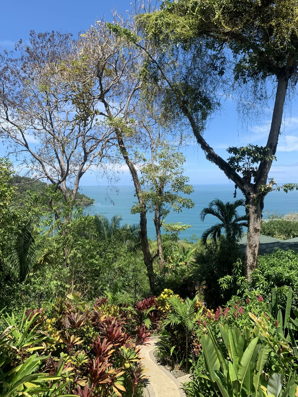 IMG_4912.jpeg