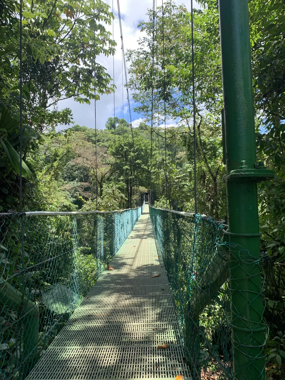 IMG_4202.jpeg