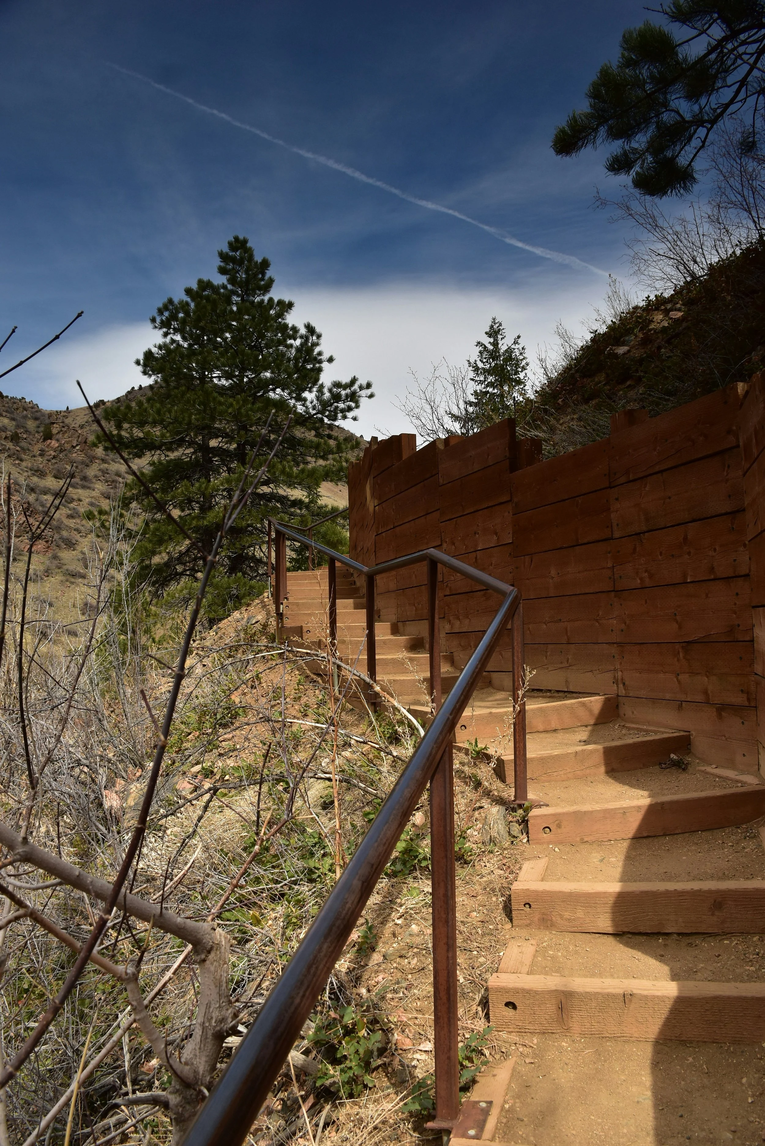 Landscaping Timber