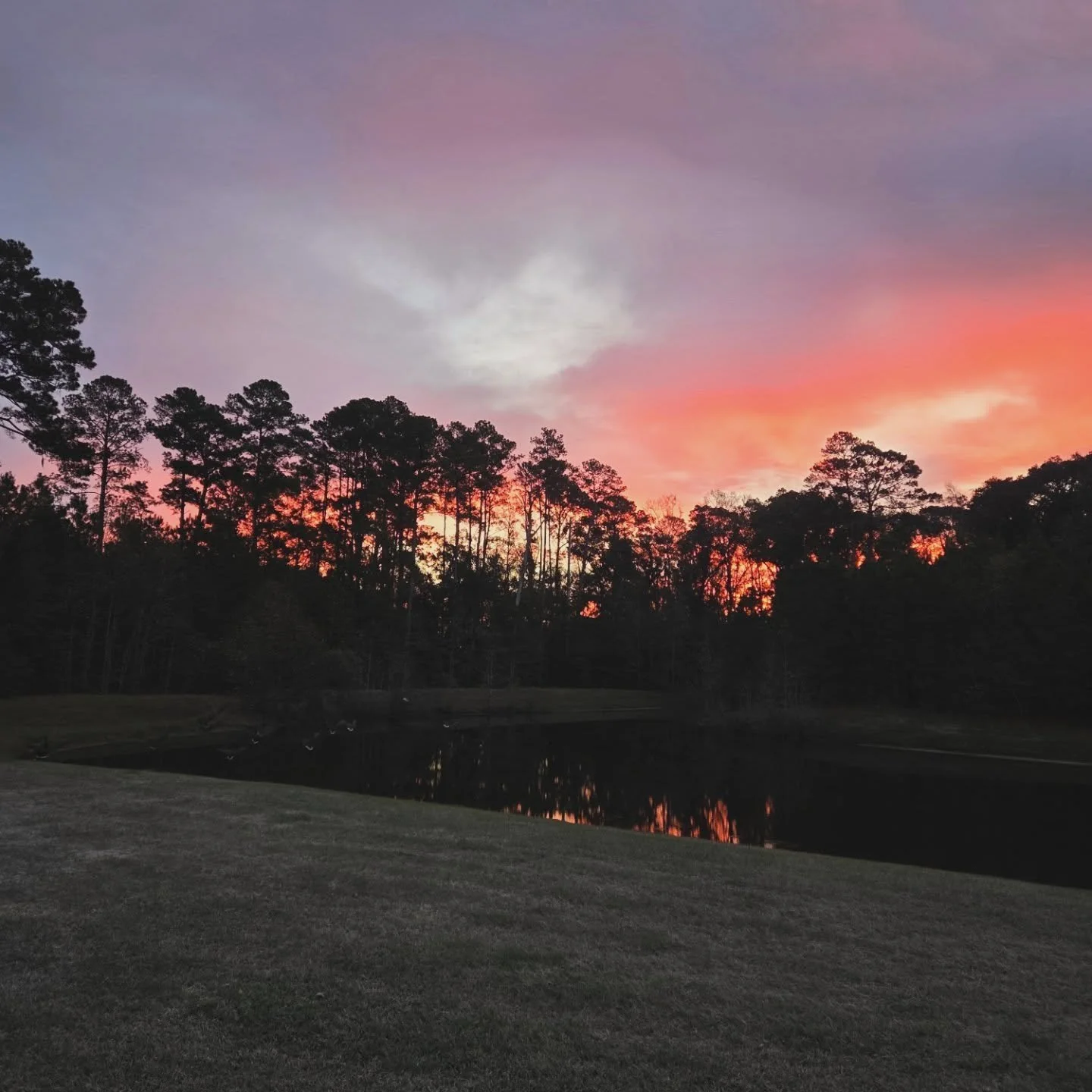 If October rocked my world, November rocked it even harder.

This month has given me so much, but most importantly it has given me the confidence to make some bold, empowering moves in my life.  Moves that six months ago, I doubt I could have made.

