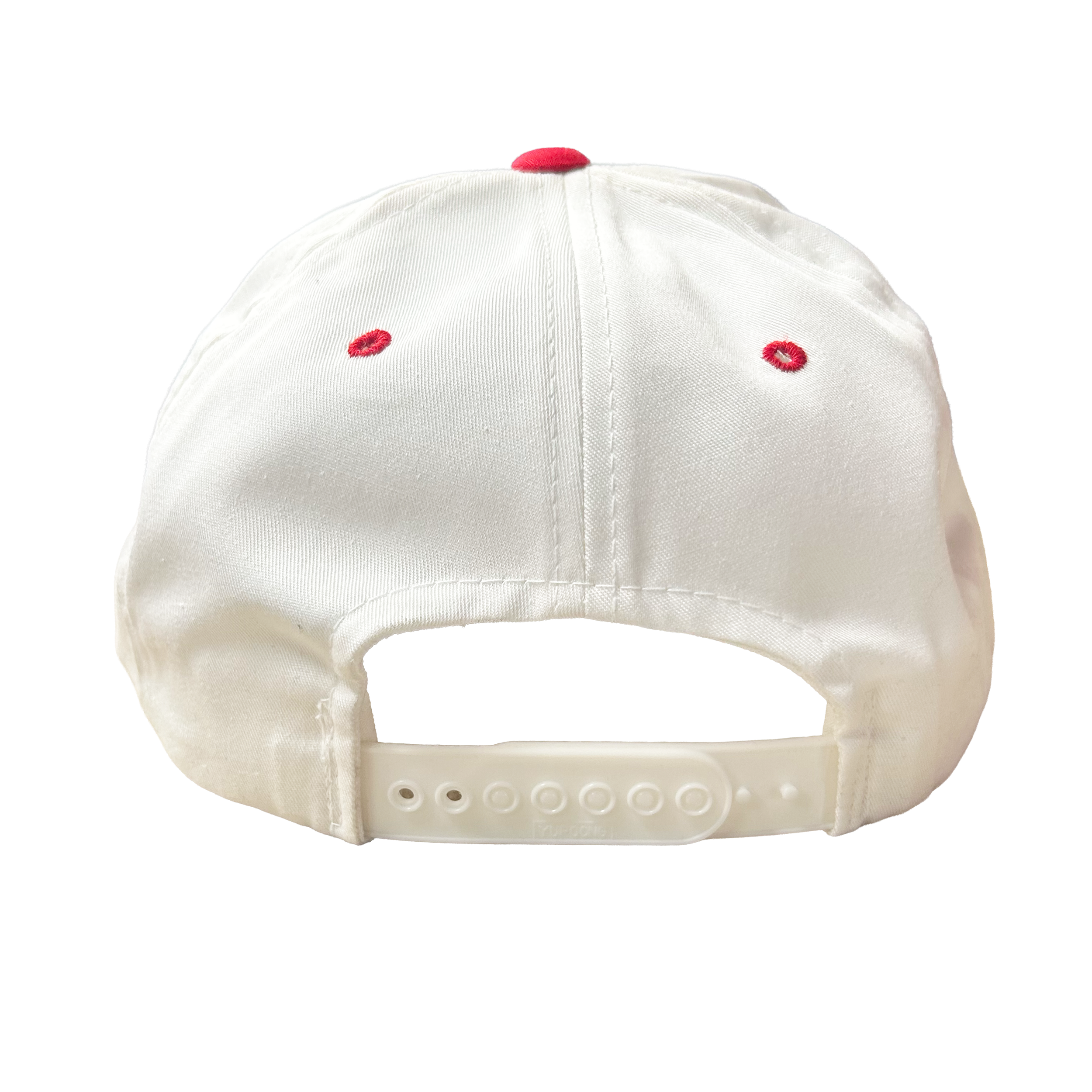 AKIRA-HAT-BACK.png
