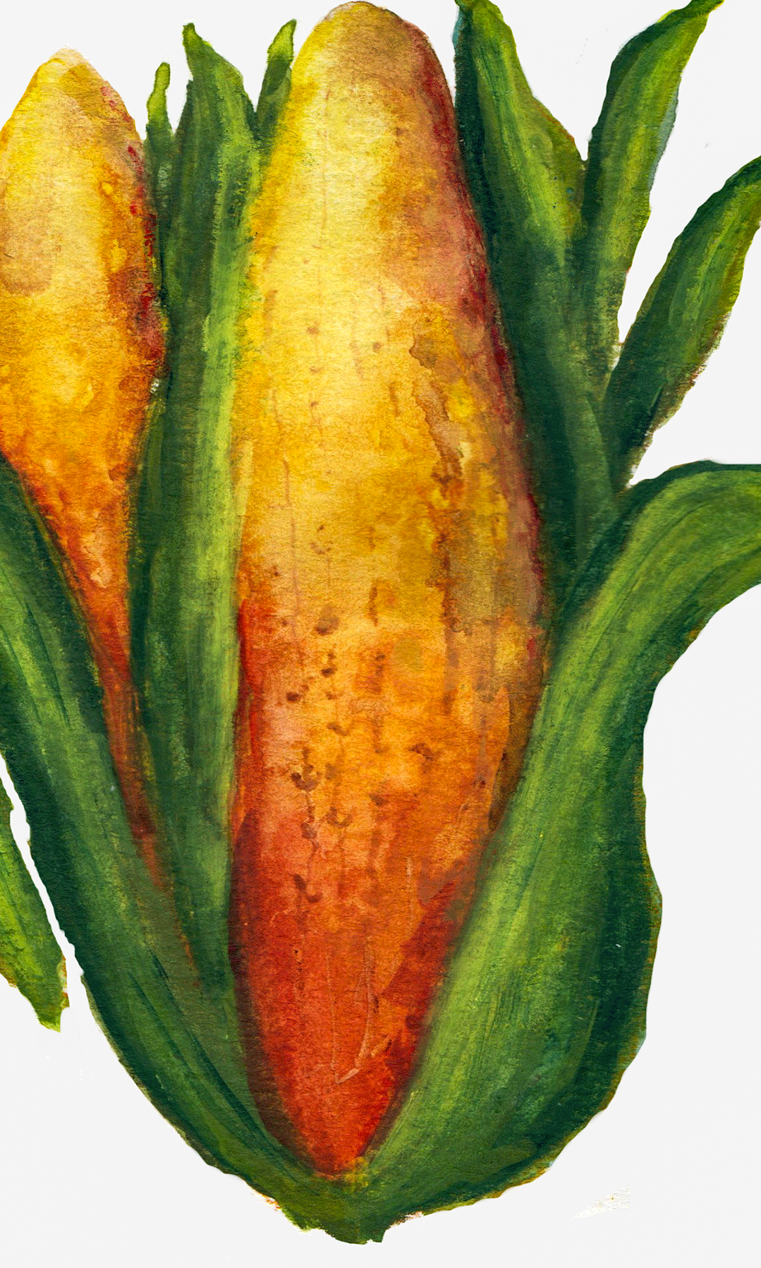 Image_20260515_0011-copy.png-PS-edited cropped.png