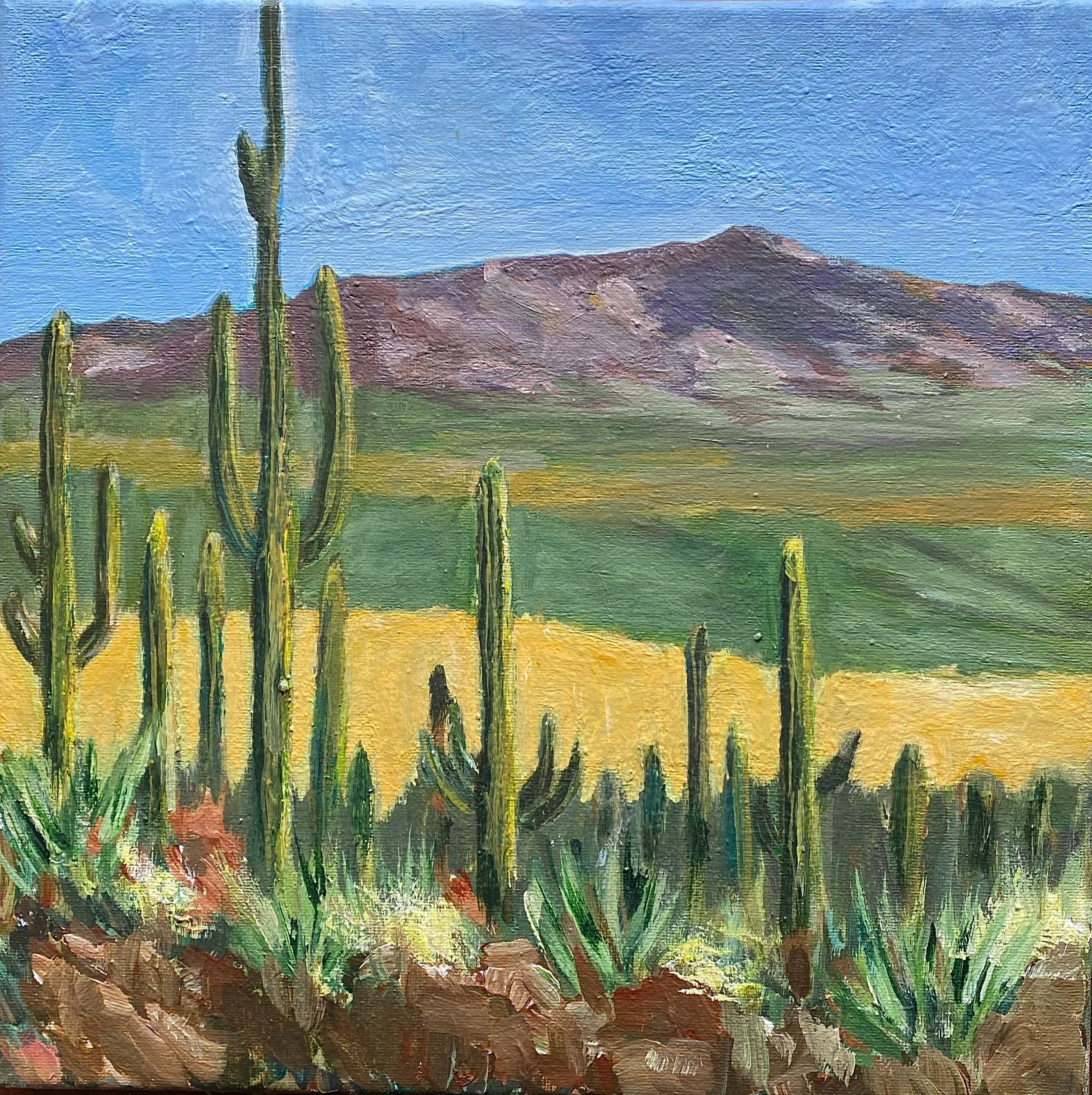 acrylic painting original western desert mountain landscape saguaro arizona