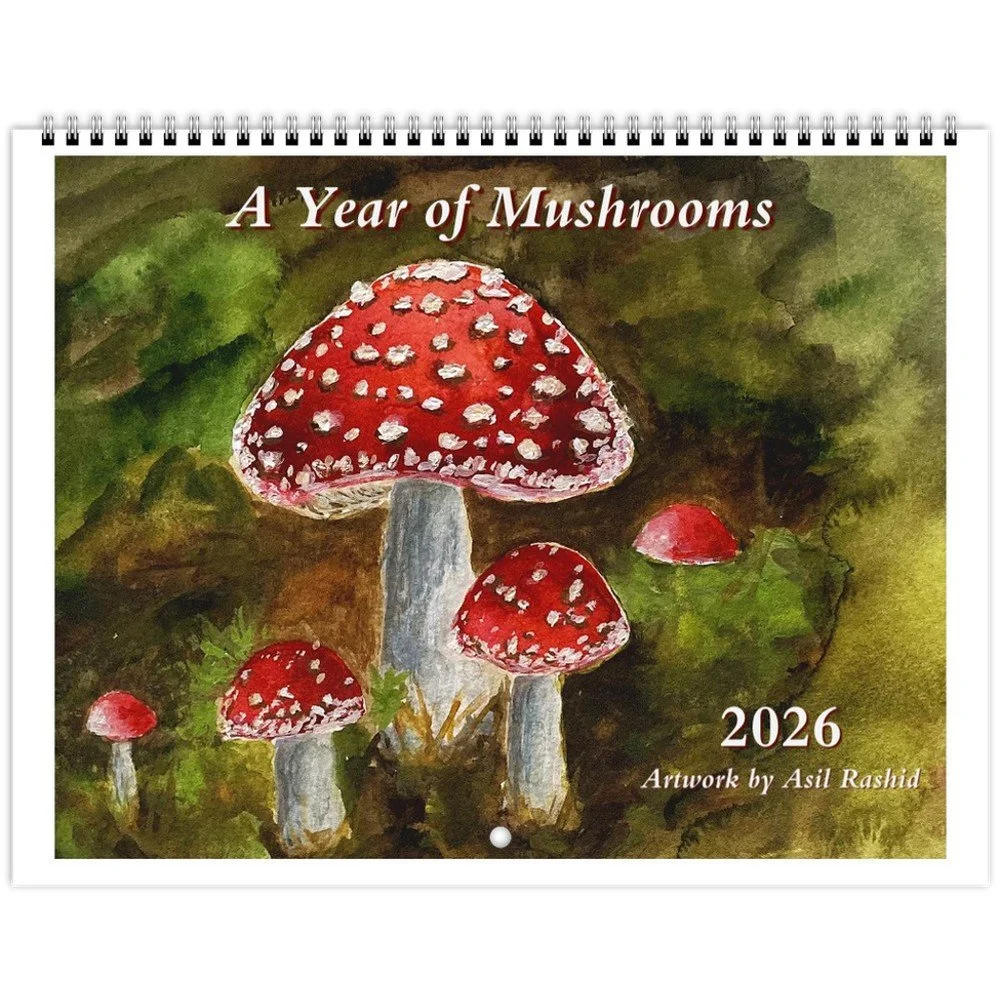 2026 Wall Calendar "A Year of Mushrooms"  8.5 x 11"