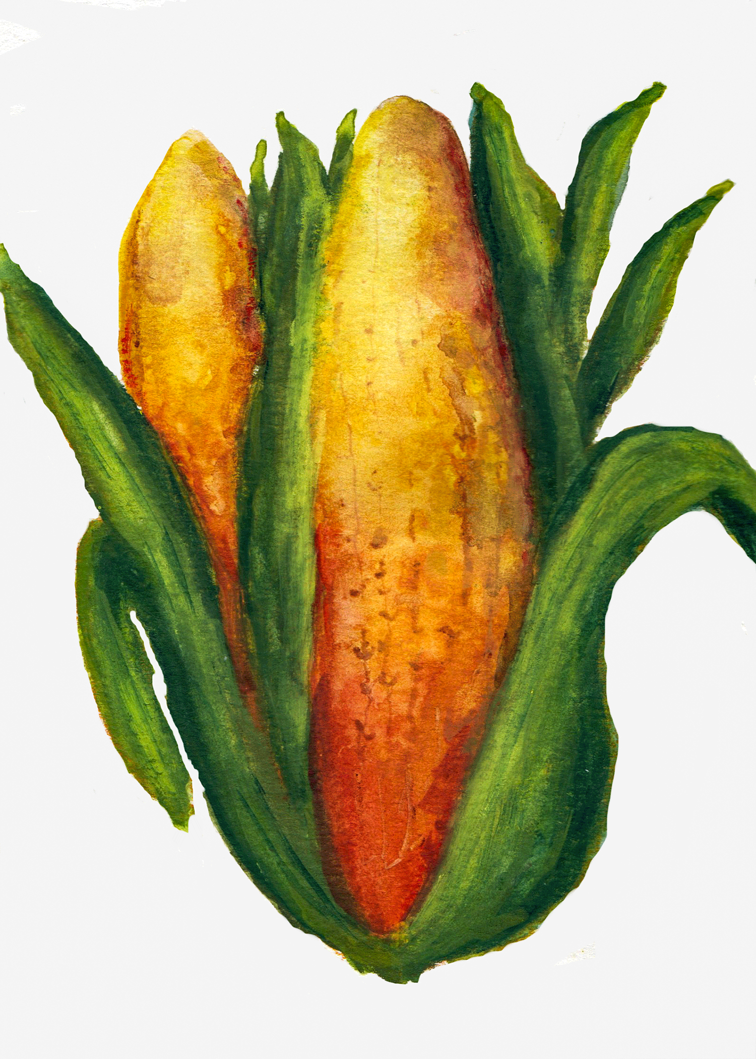 Image_20260515_0011-copy.png-PS-edited.png