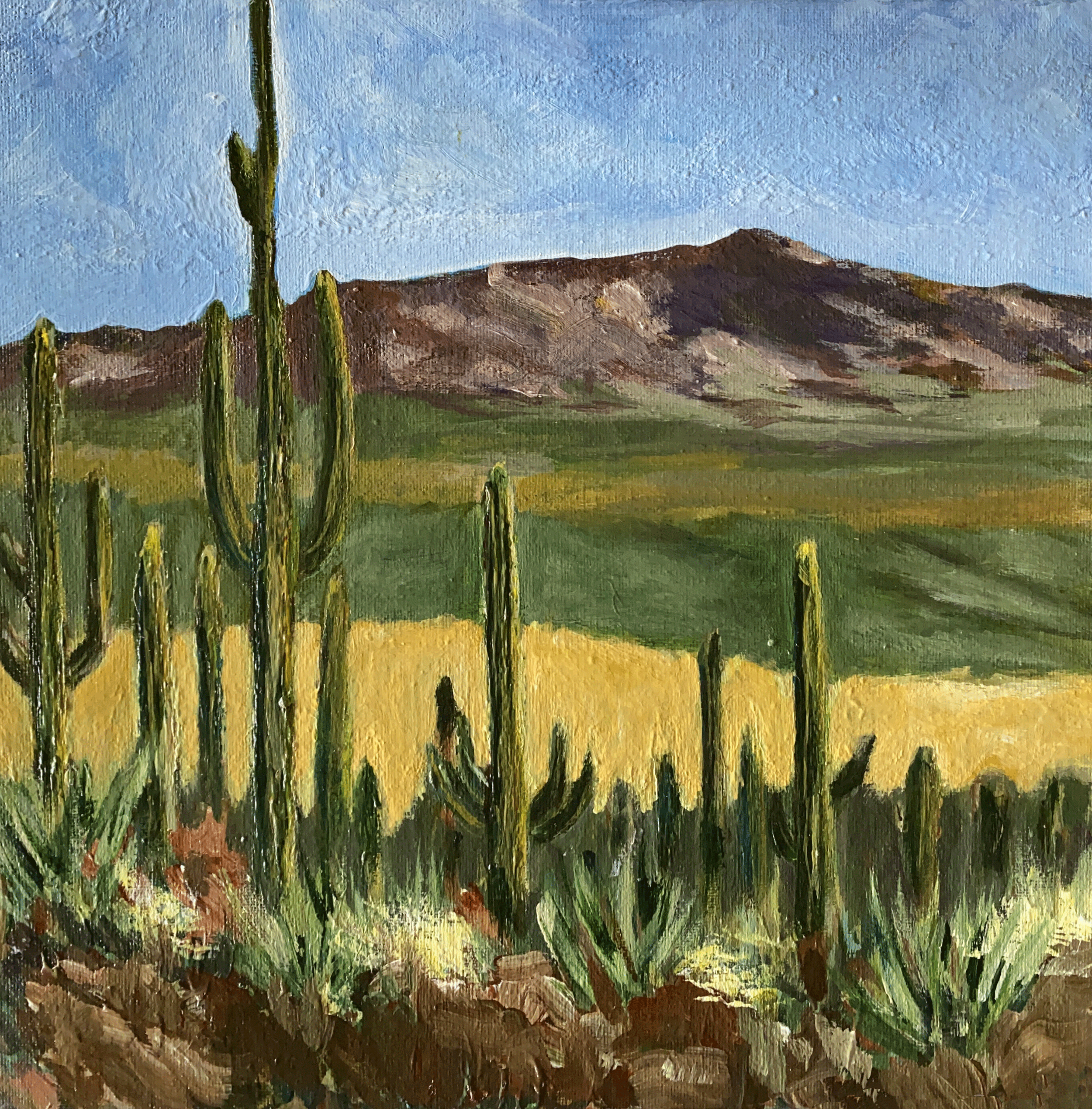 Western Landscape Print Southwest USA Desert Saguaro Wall Art "Saguaro National Park, Arizona"