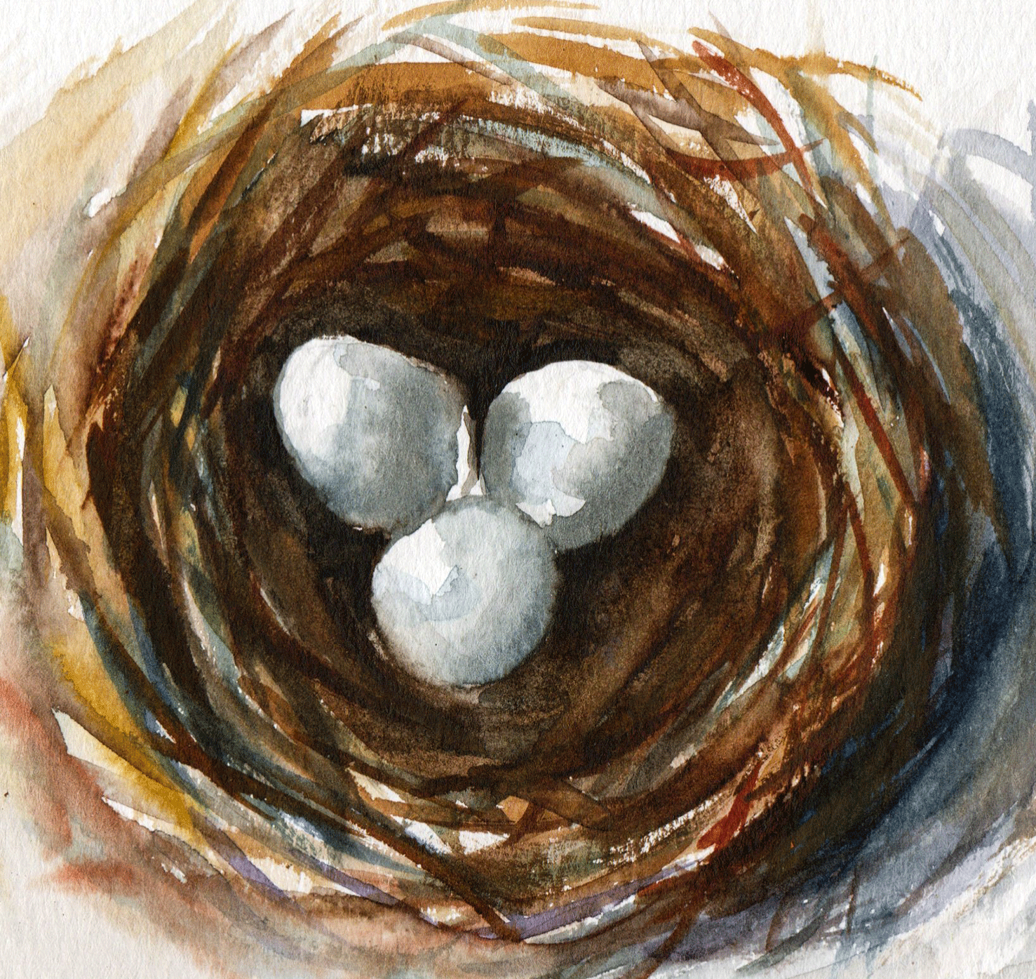 Day 149/365: "Pigeon's Eggs" Print