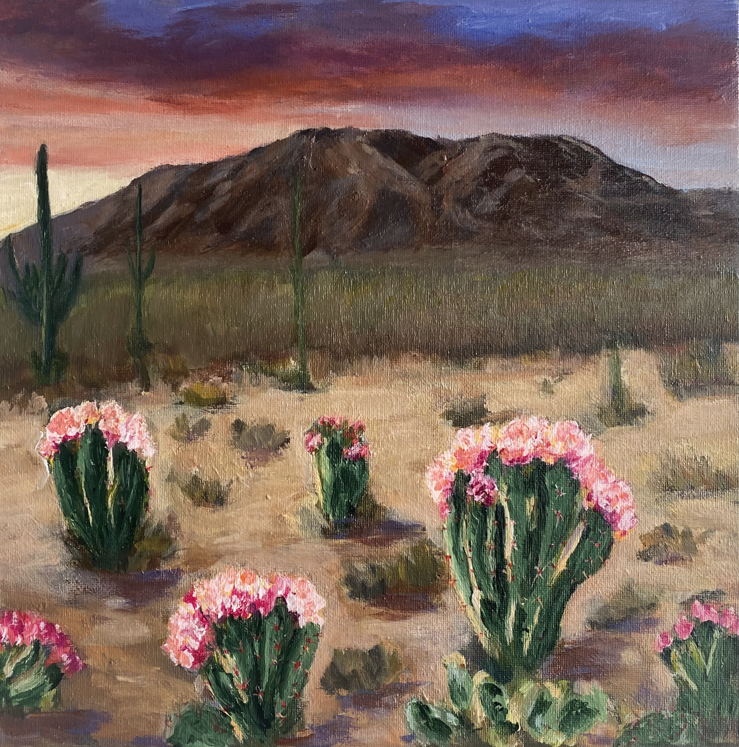 acrylic painting original western desert mountain landscape flowering cactus desert garden