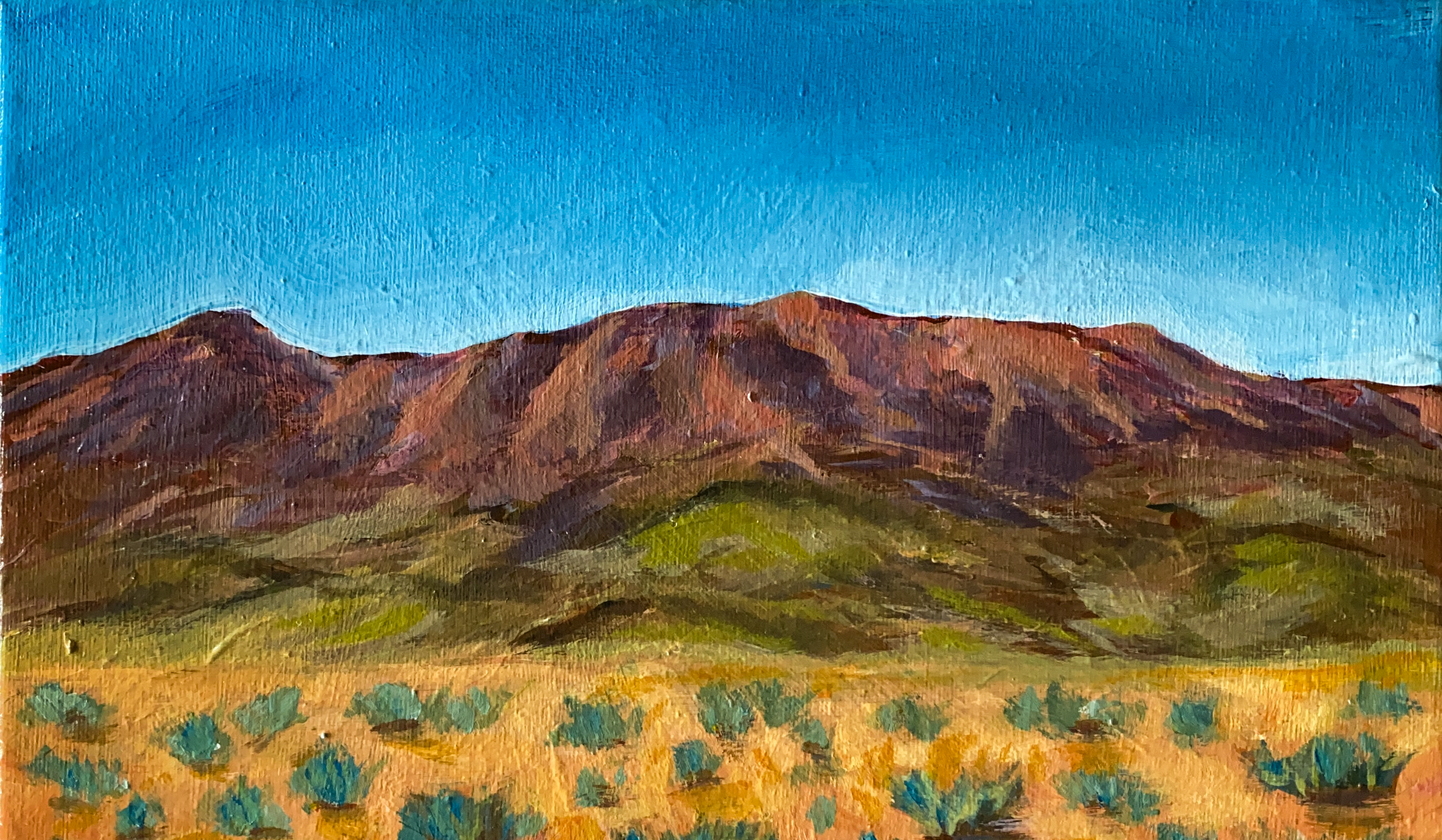 IMG_1281 copy 2 cropped.png