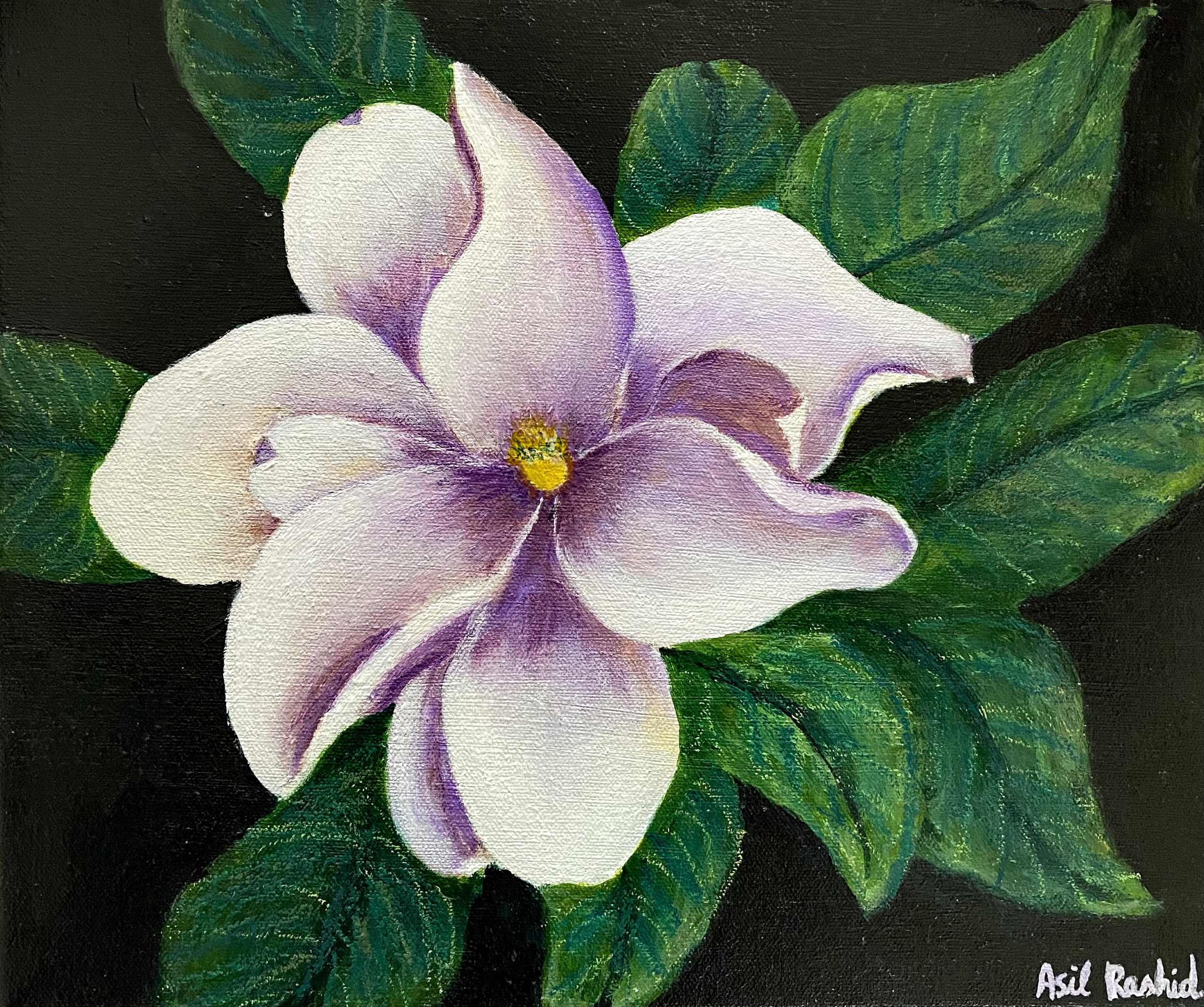acrylic on stretched canvas painting white magnolia with green leaves