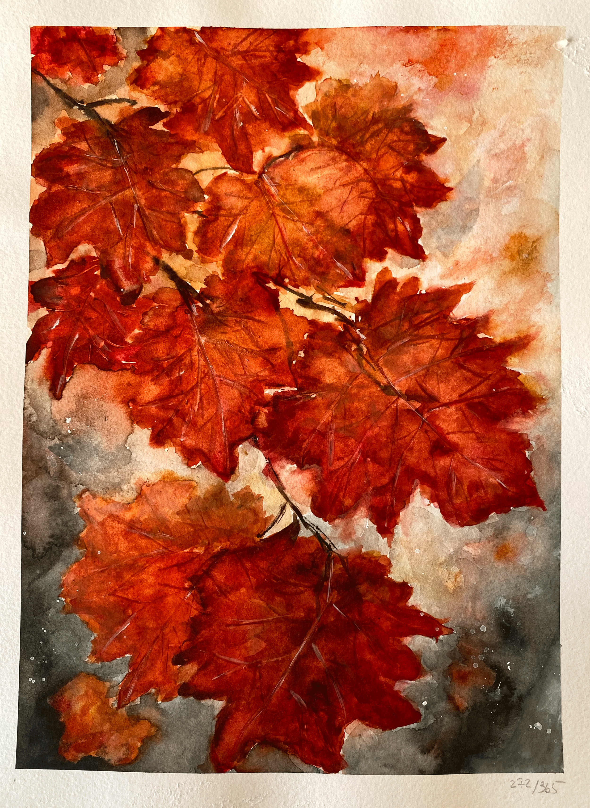IMG_5335.png-PS-edited.png