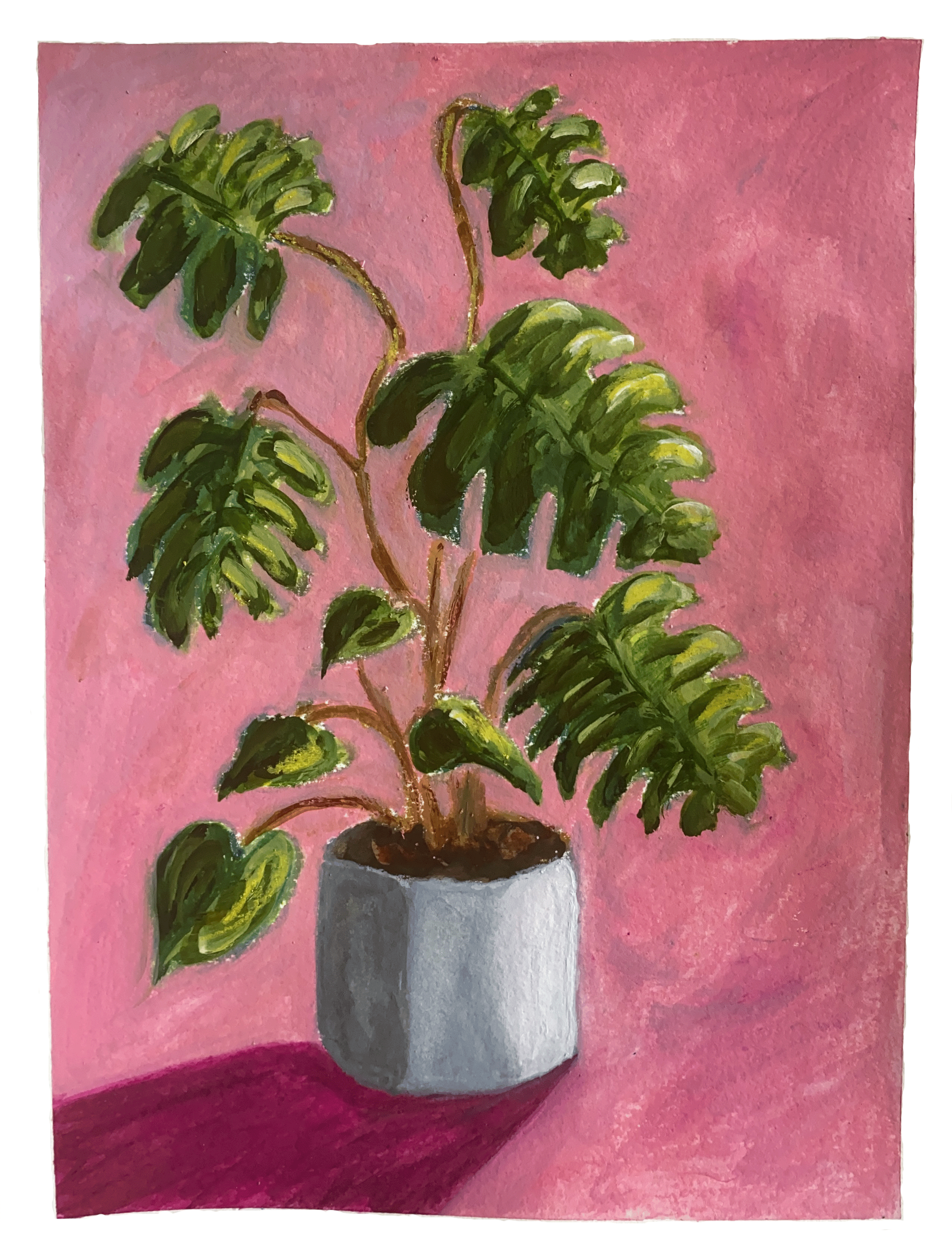 Day 88/365: “Monstera on Pink”, wax pastels and watercolor on paper, 9x12”