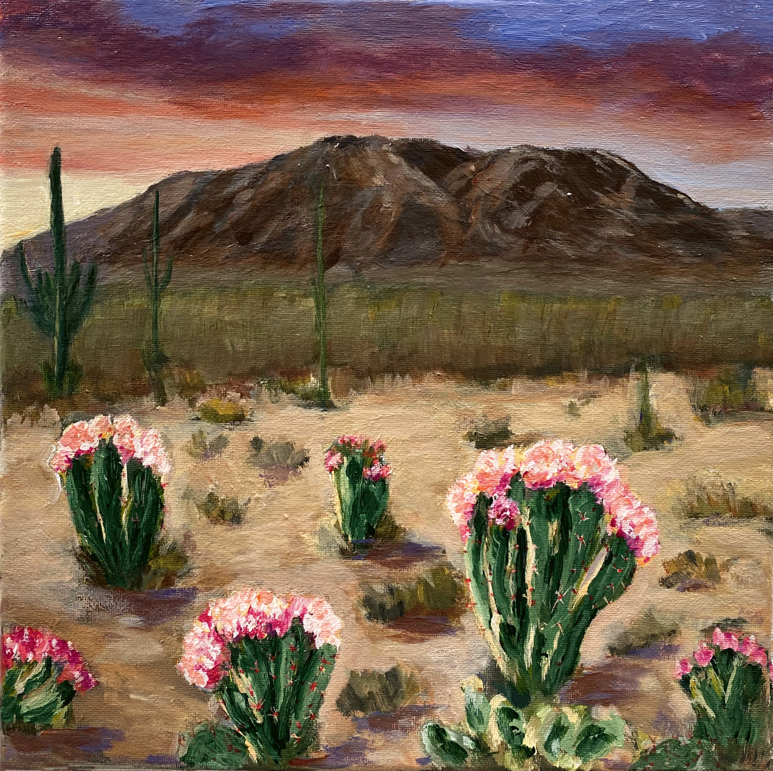 acrylic painting original western desert mountain landscape flowering cactus desert garden
