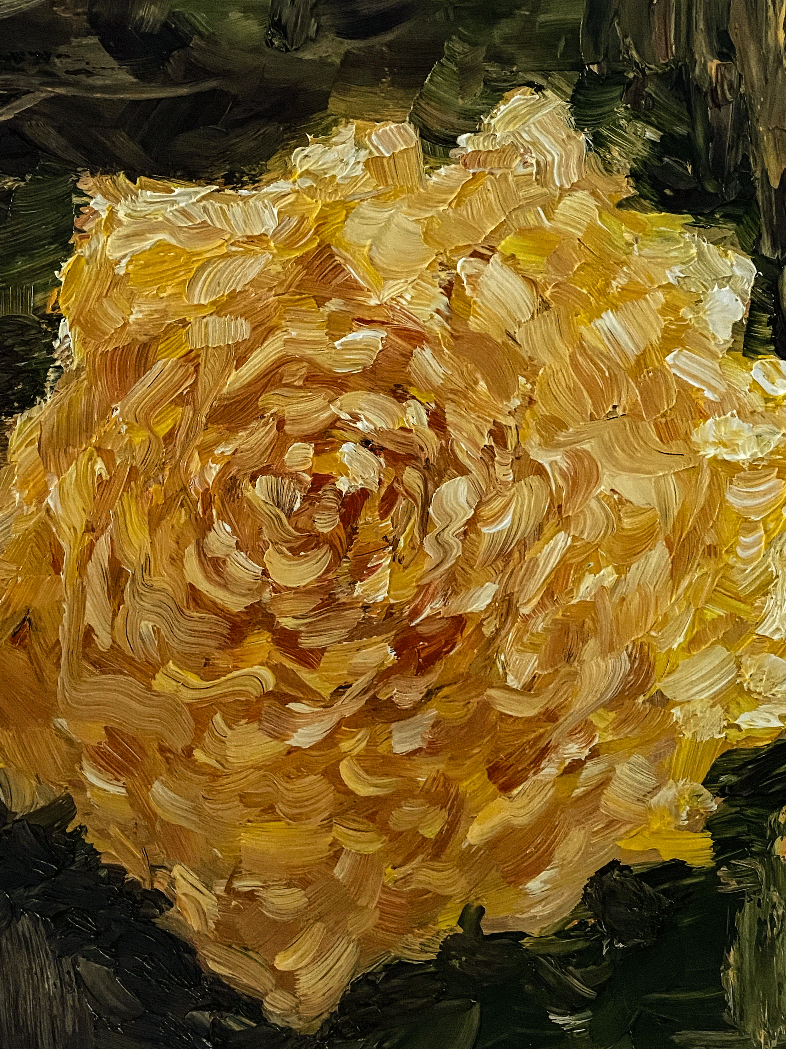 single yellow rose with petals on dark green background.png