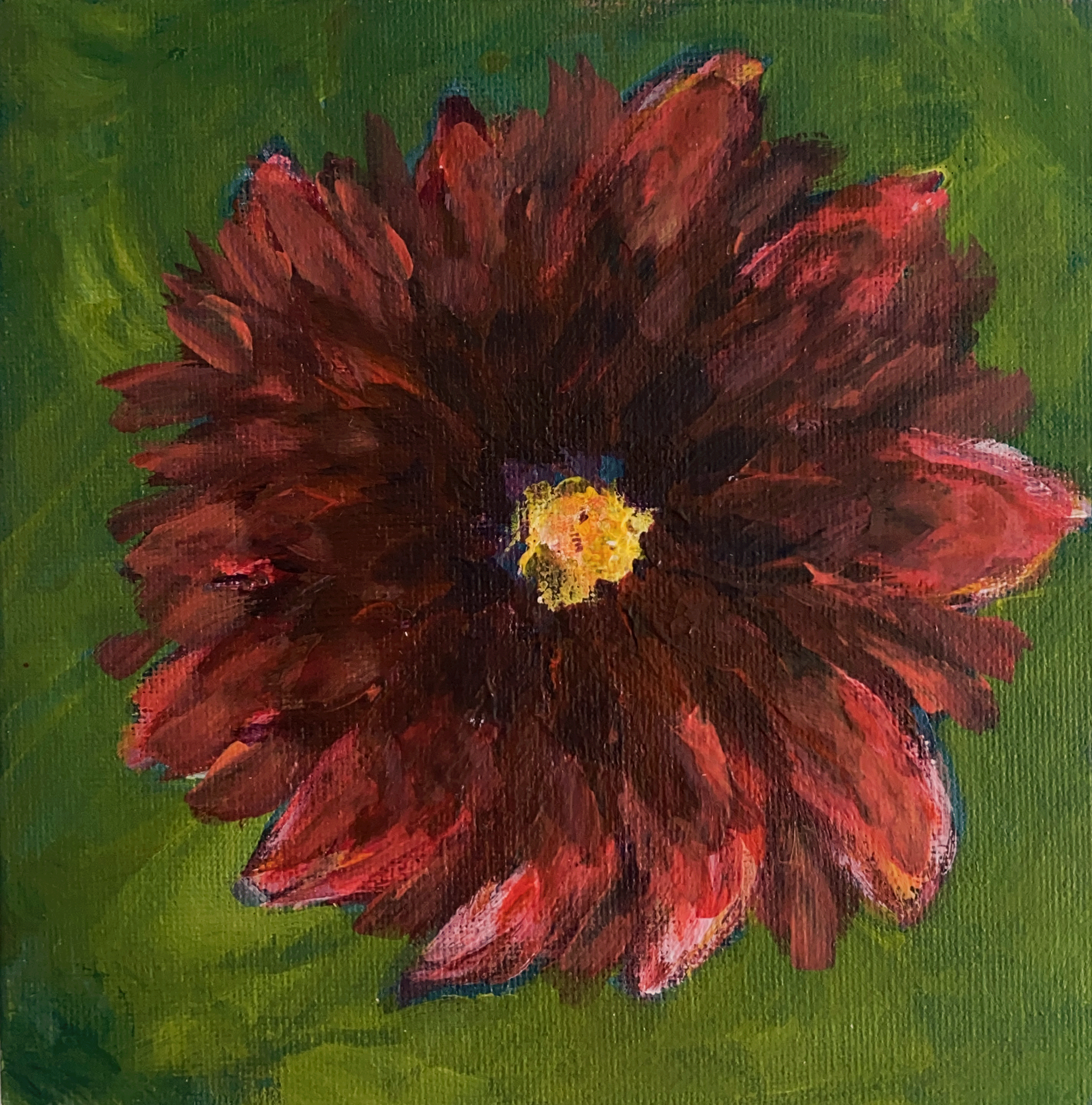 red dahlia flower on green background.png