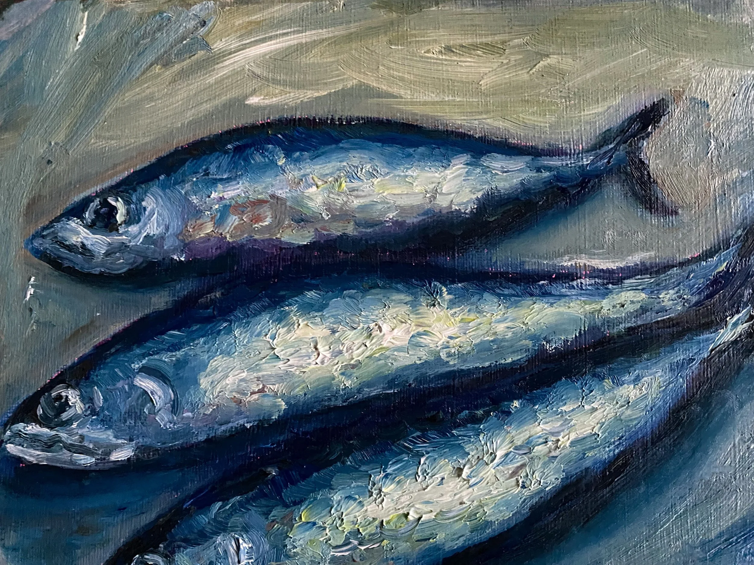 close up of three silver blue sardines