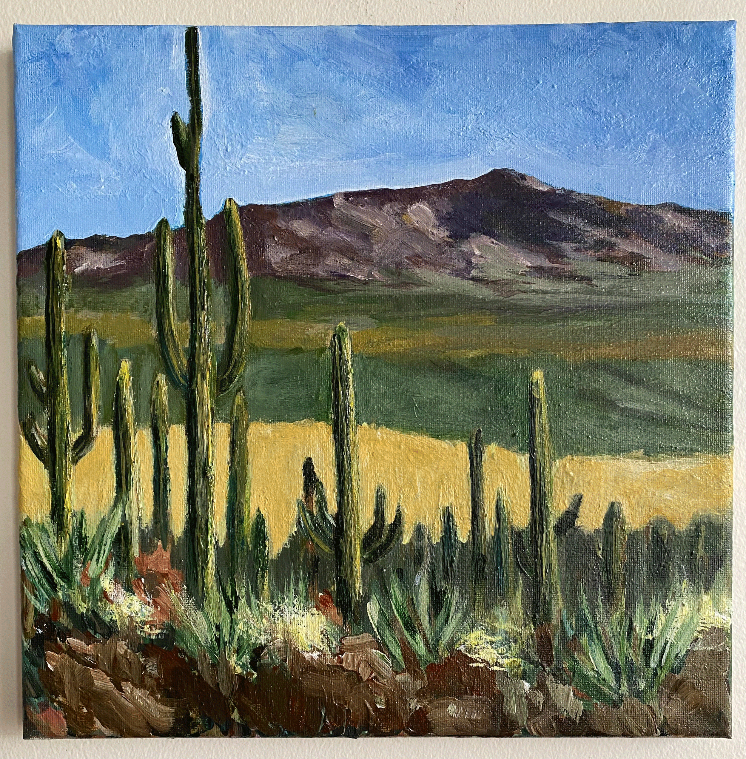 Original Painting Acrylic on Canvas Western Landscape Southwest USA Desert Saguaro Wall Art "Saguaro National Park, Arizona" 12" x 12"