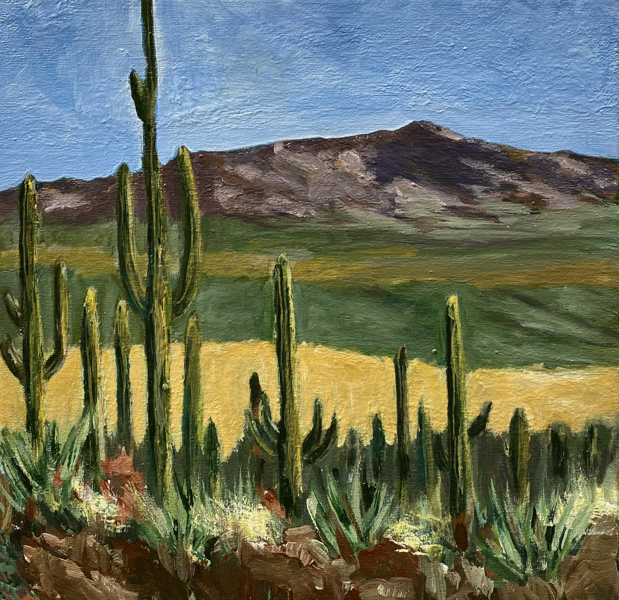acrylic painting original western desert mountain landscape saguaro arizona