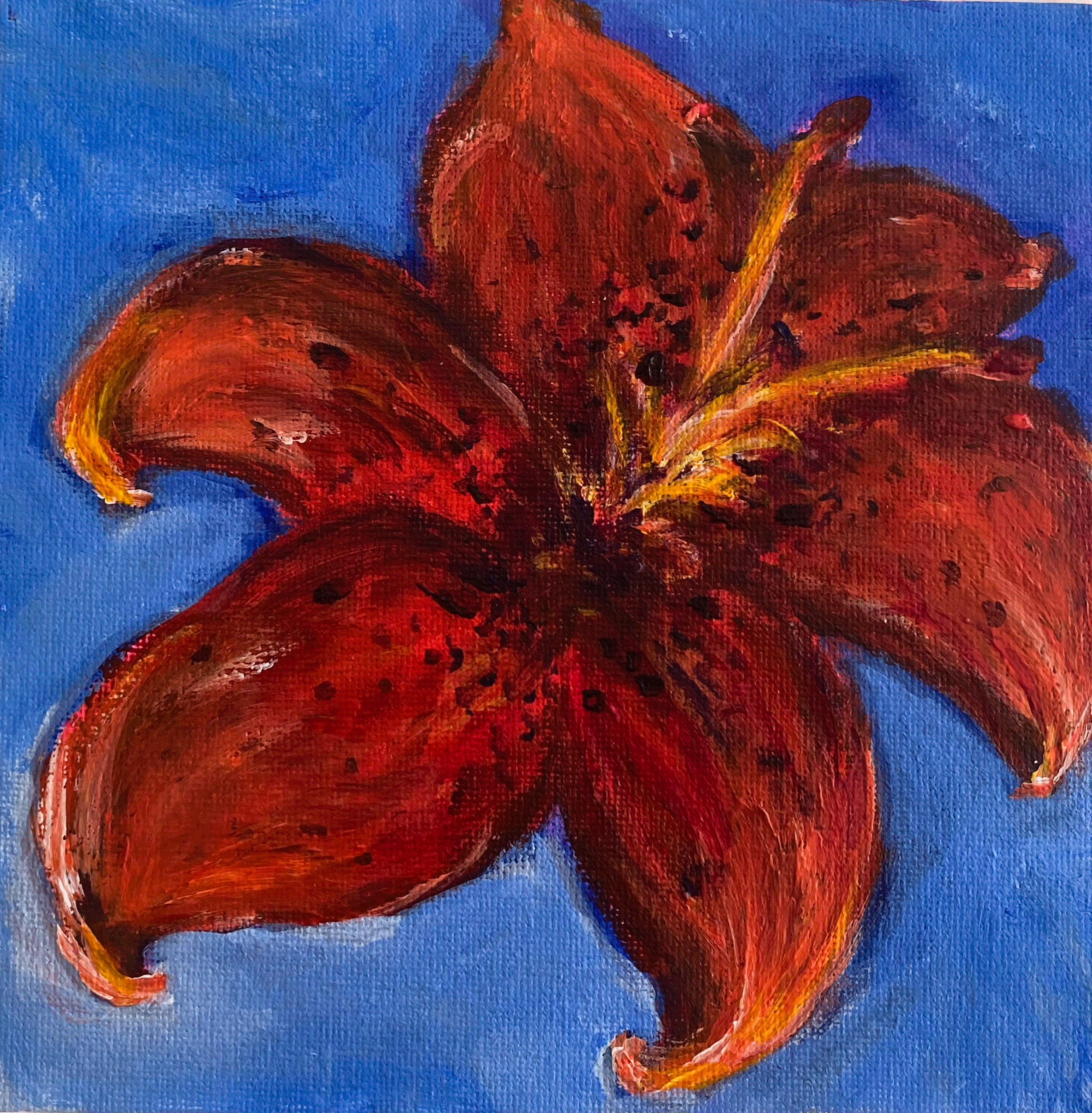 Day 224: "Tiger Lily", acrylic on canvas panel, 6x6"
