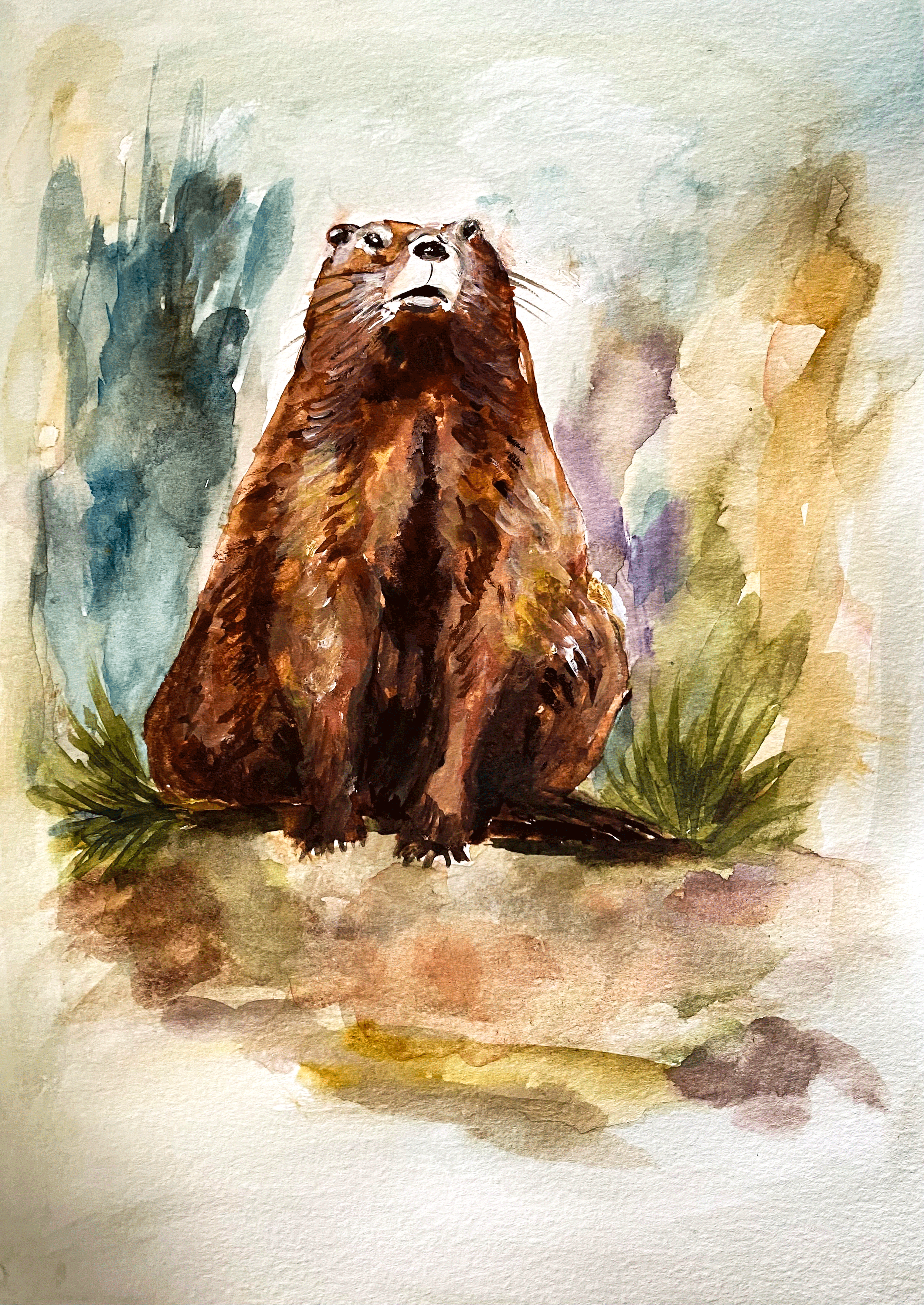 IMG_4849-PS-edited.png