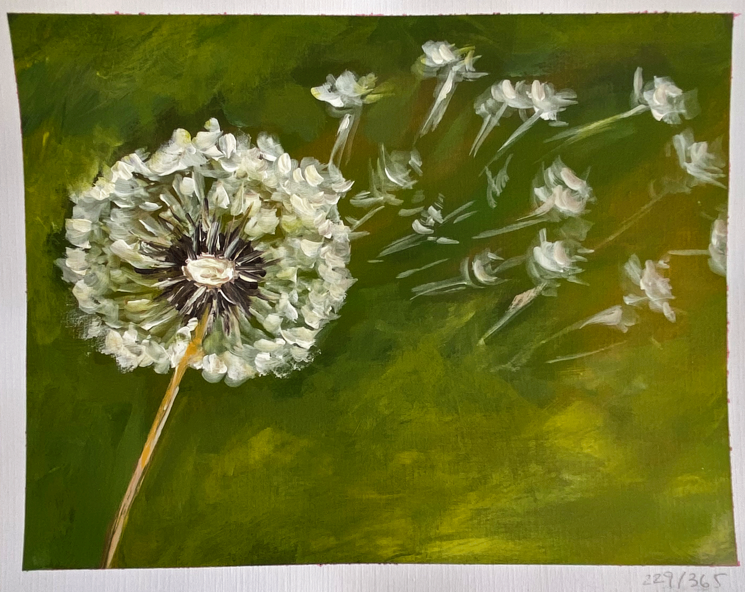 Day 229: "Dandelion", acrylic on paper, 8x10"