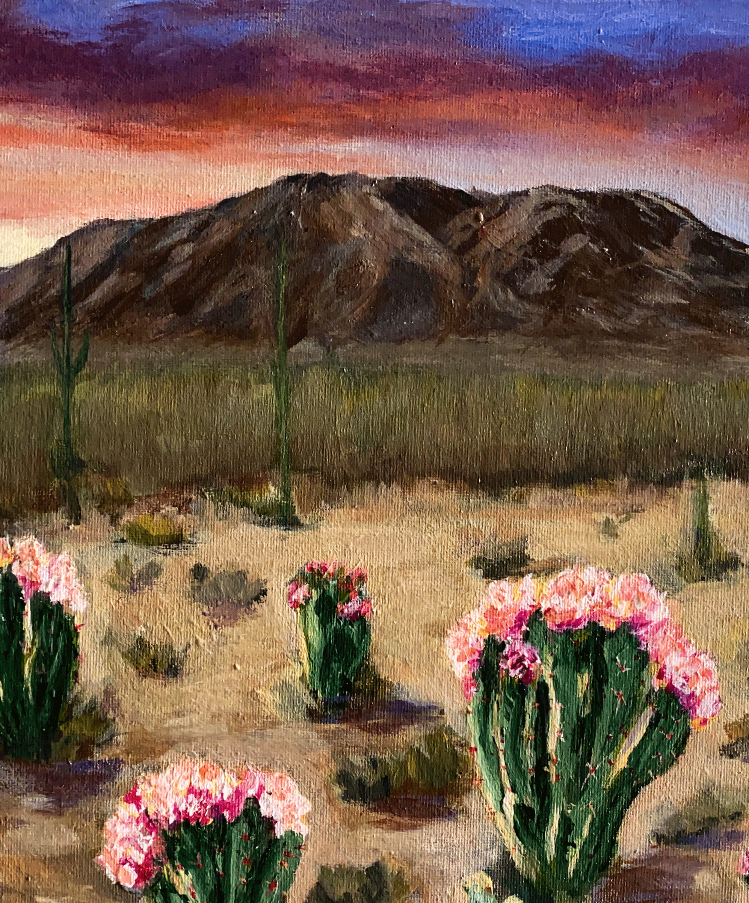 acrylic painting original western desert mountain landscape flowering cactus desert garden