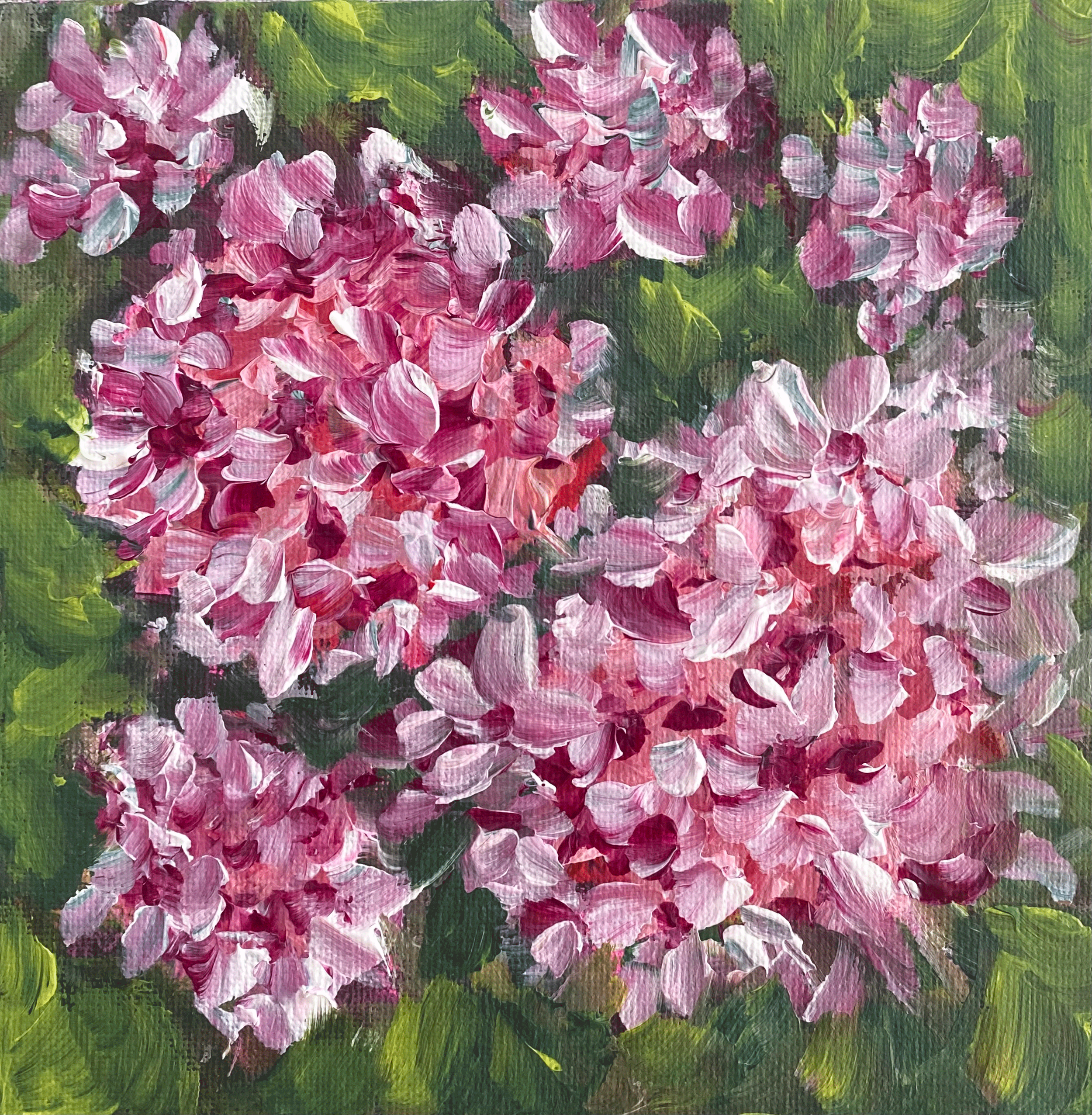 pink hydrangeas on green background.png