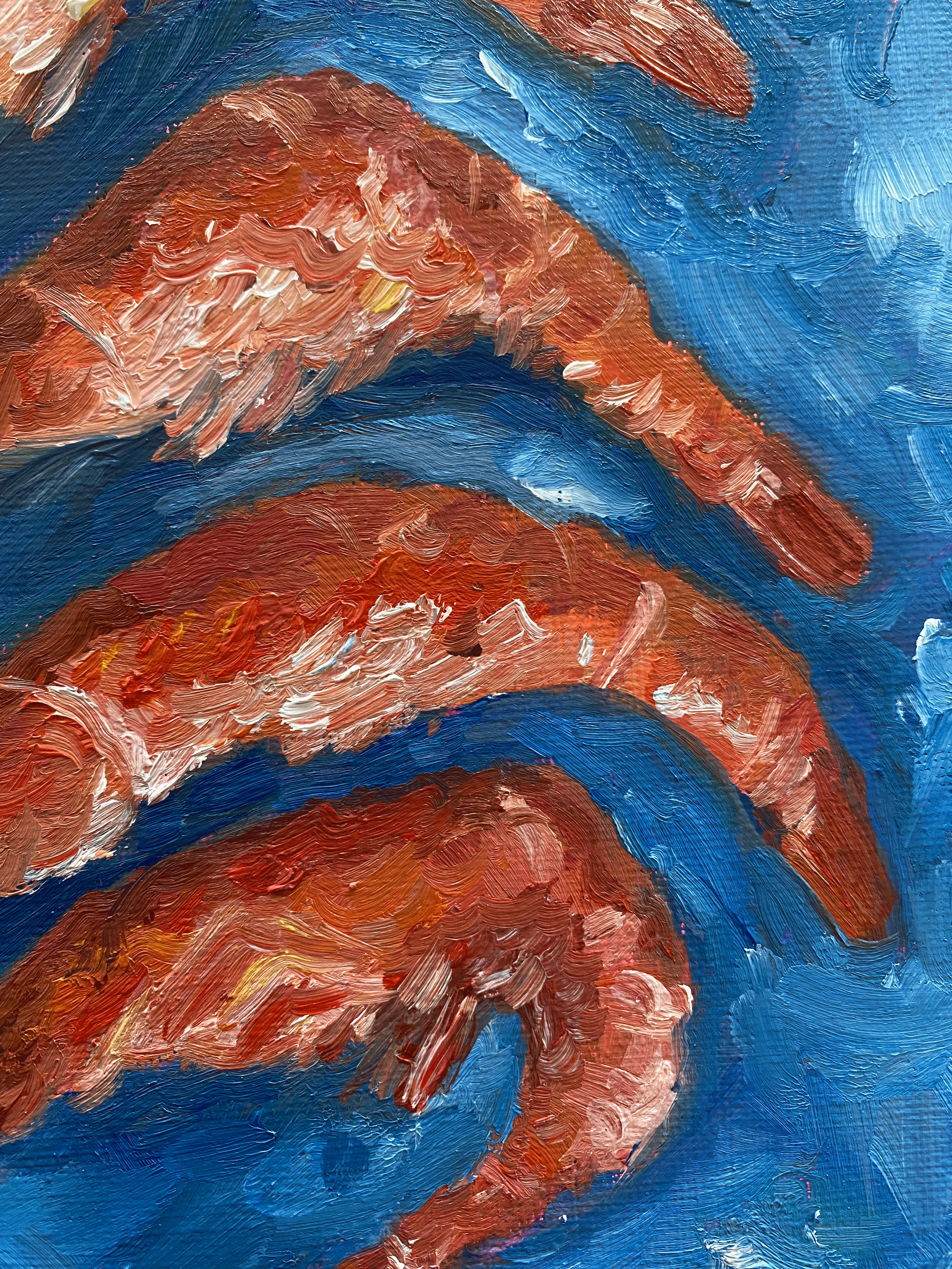 close up of pink shrimps on blue background.png