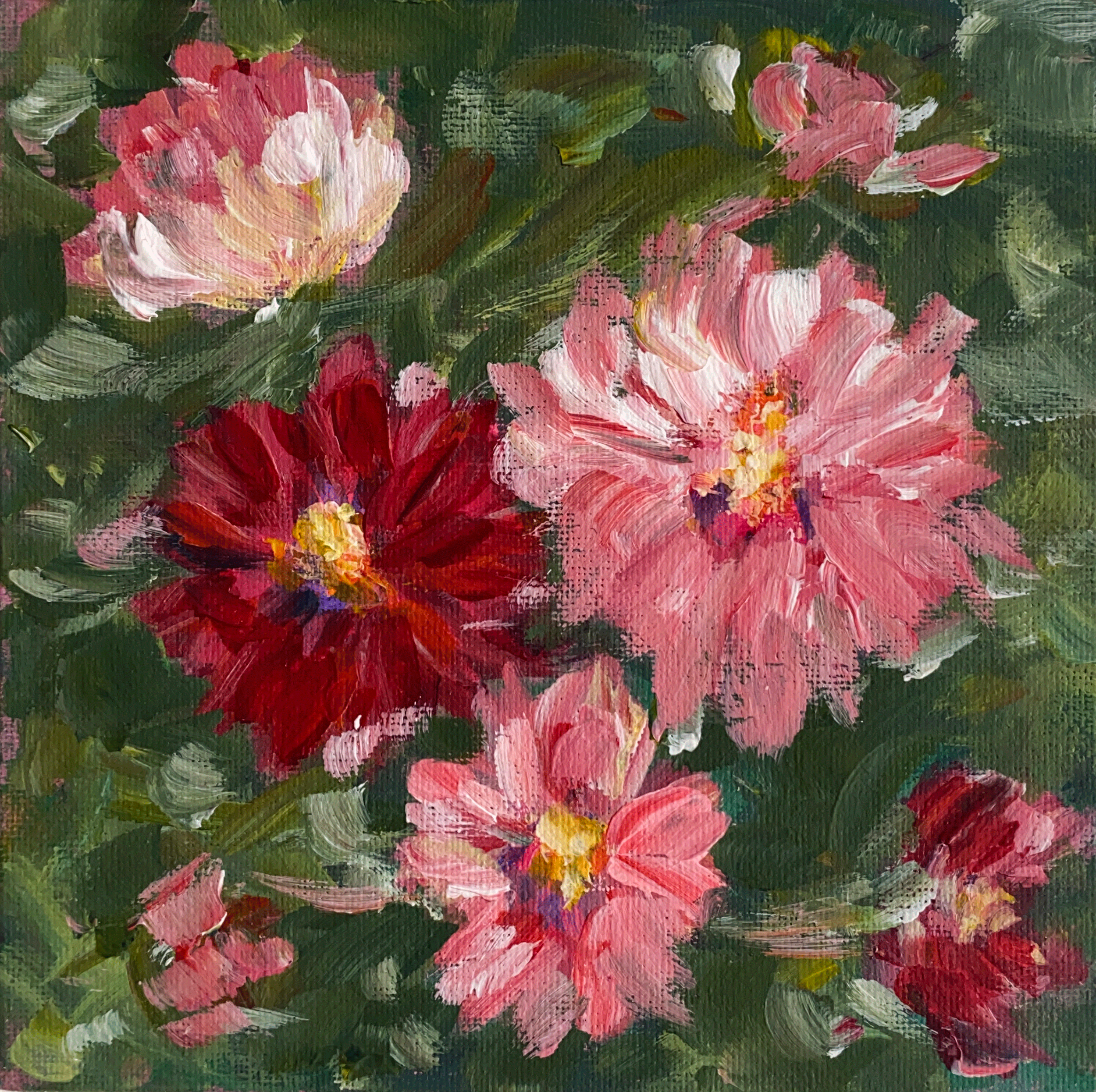 red and pink cosmos flowers on green background.png