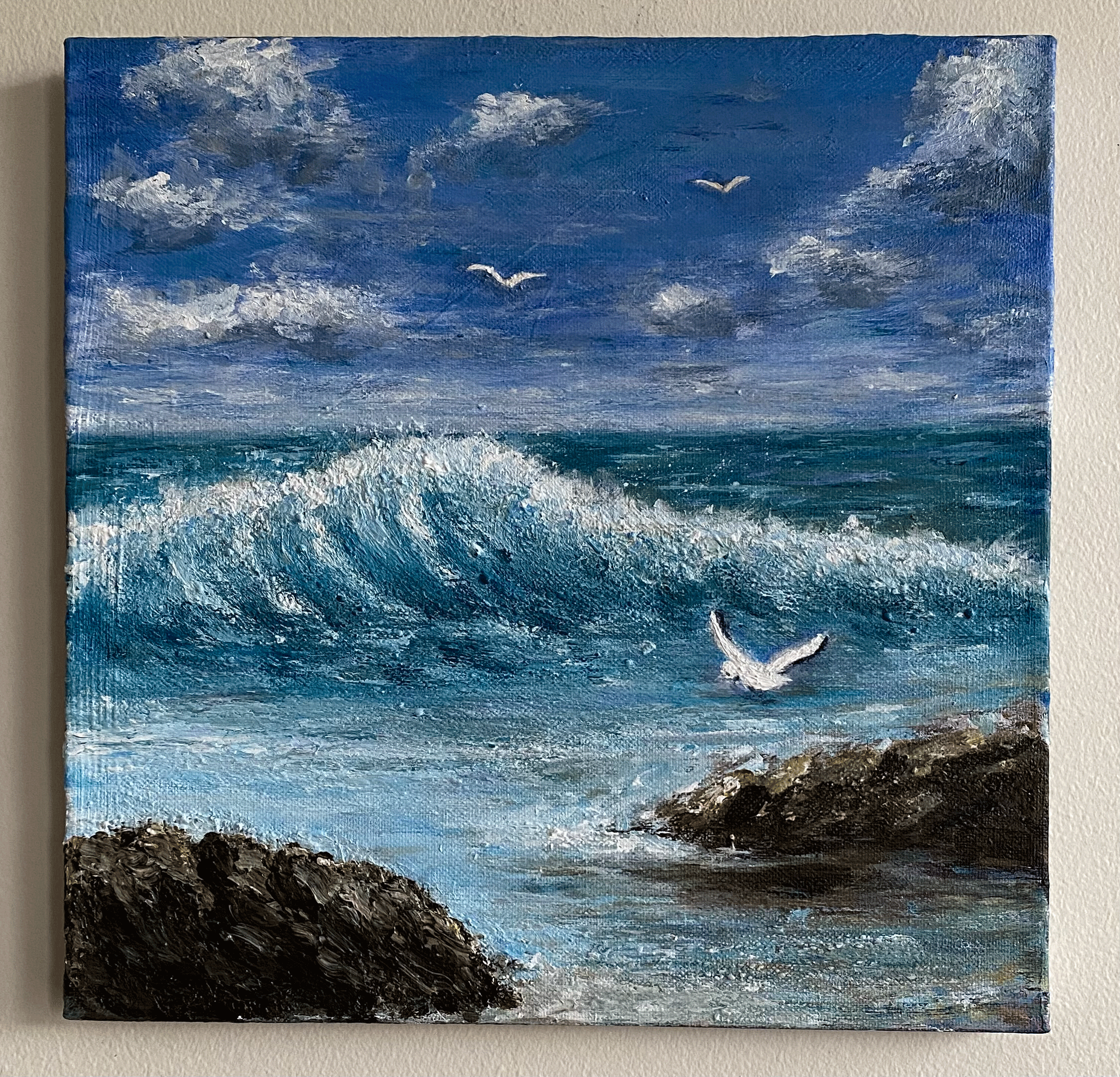 laguna beach waves rocks seabirds seascape