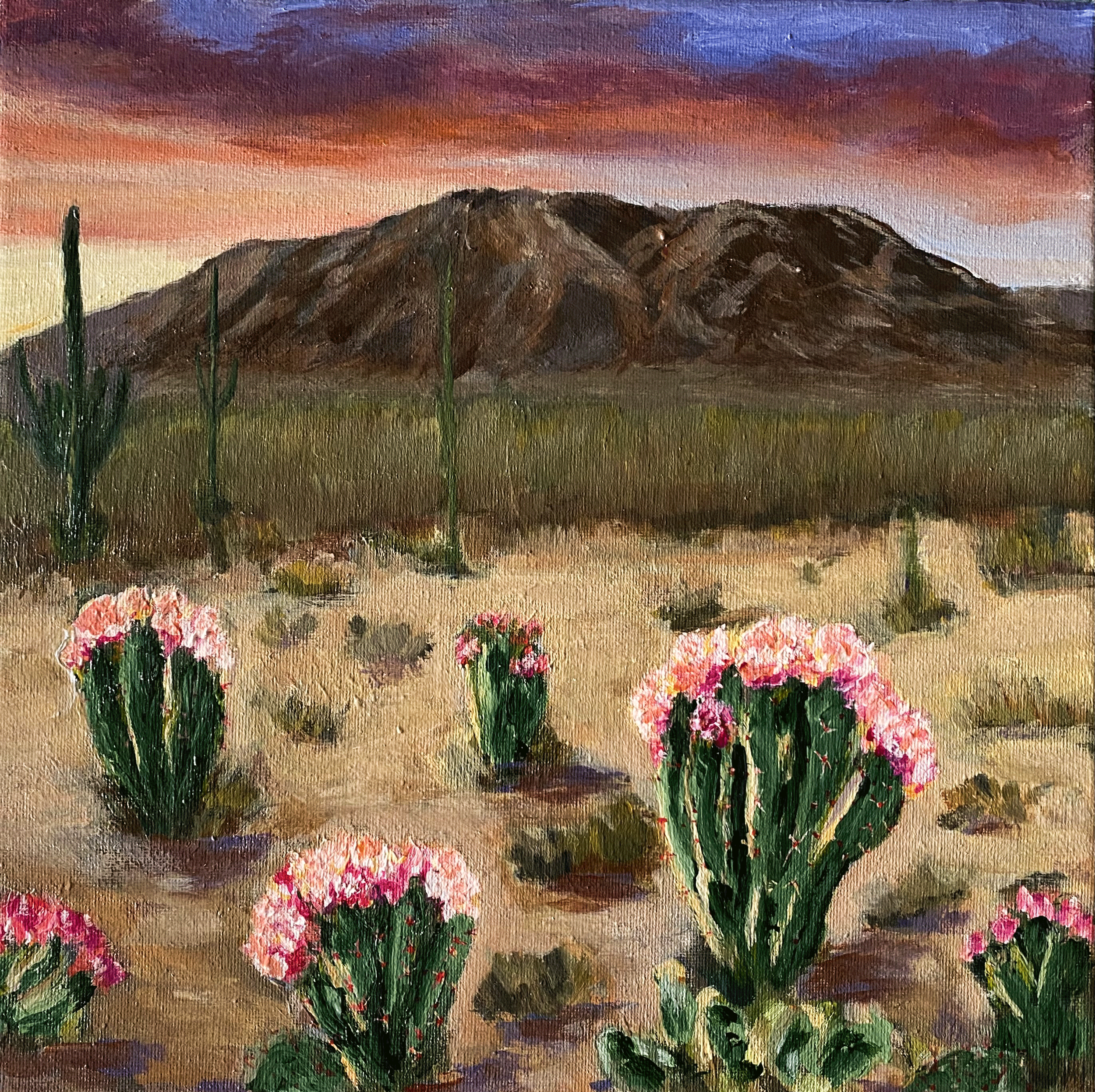 acrylic painting original western desert mountain landscape flowering cactus desert garden