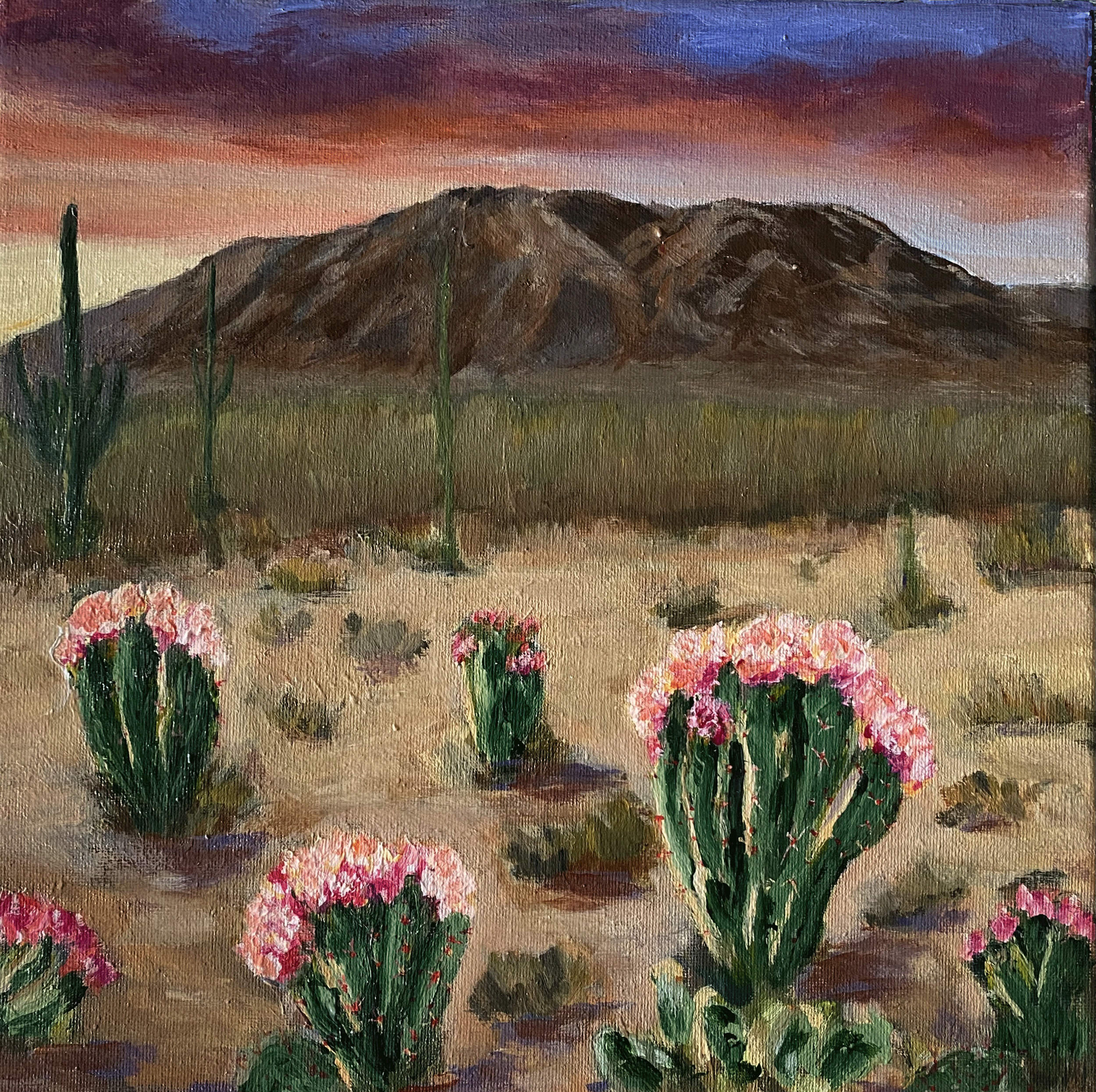 acrylic painting original western desert mountain landscape flowering cactus desert garden