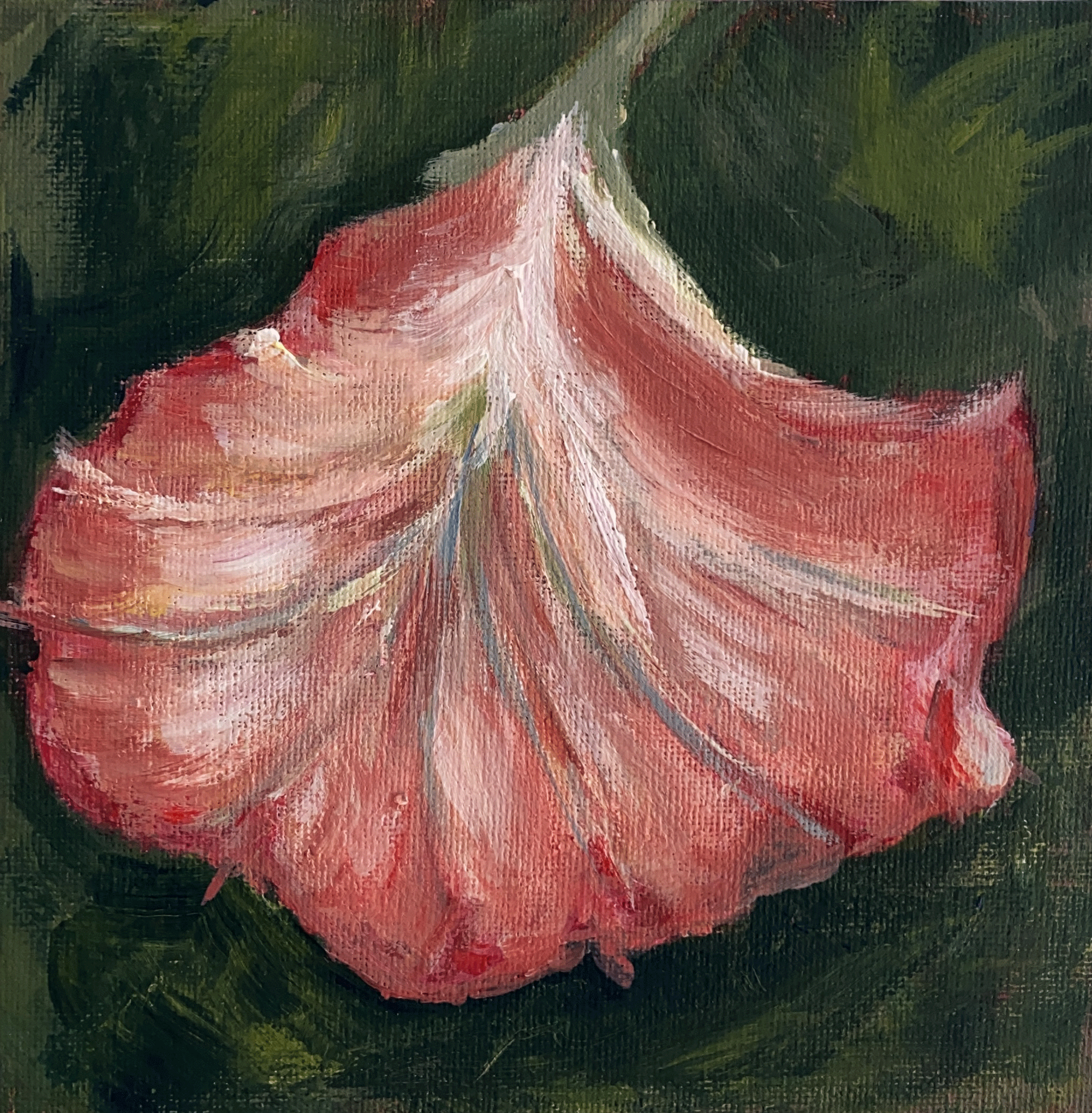 peach trumpet flower on green background.png