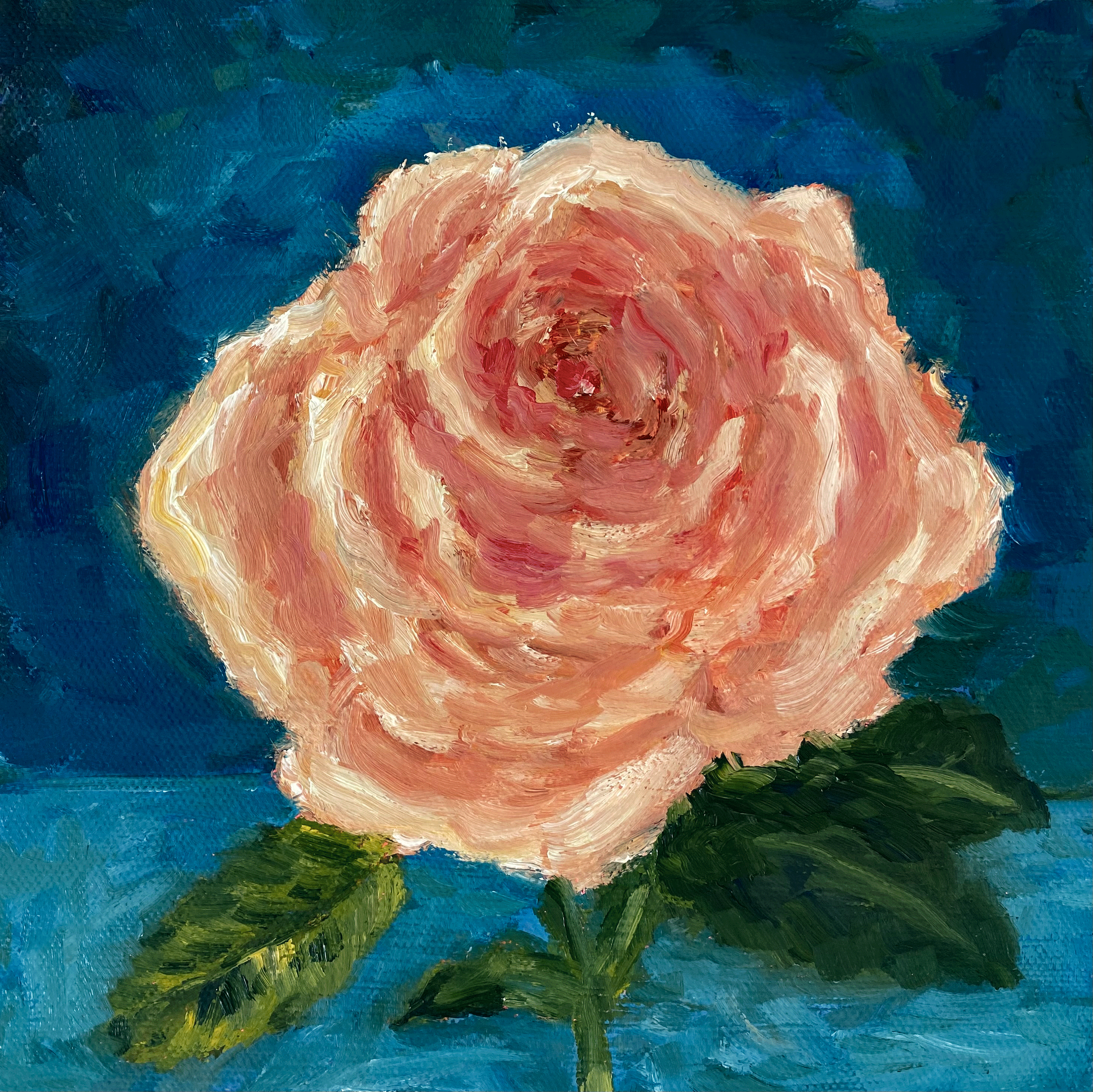 Day 27/365: "Peach Rose", oil on stretched canvas, 8x8"