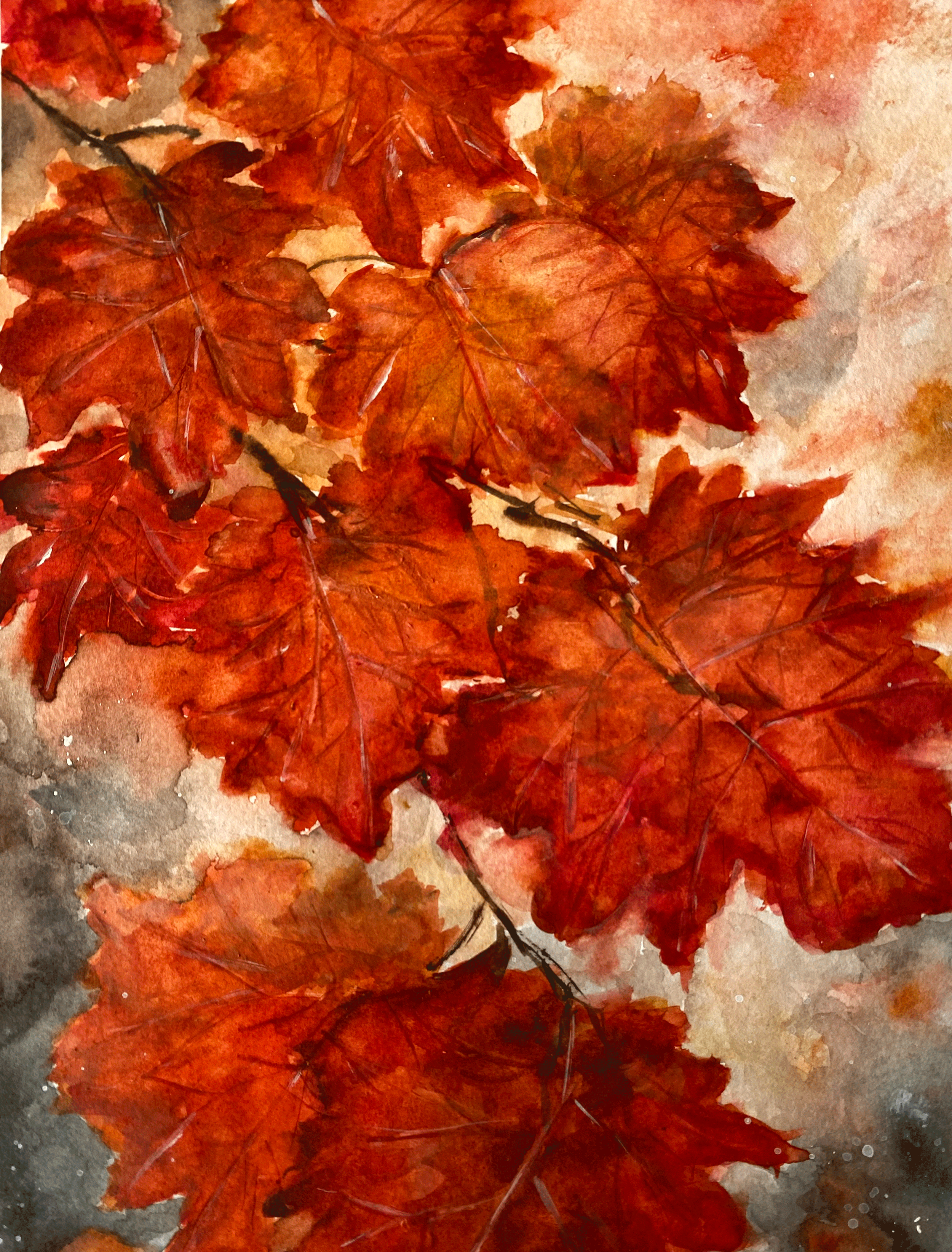 IMG_5336-PS-edited-1.png