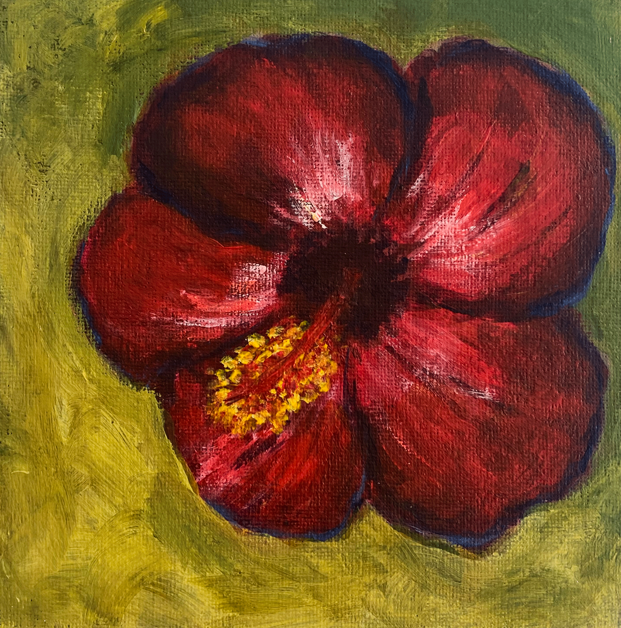 Day 223: "Red Hibiscus", acrylic on canvas panel, 6x6"