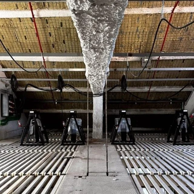 WhatsApp Image 2024-03-01 at 10.12.03 AM.jpg