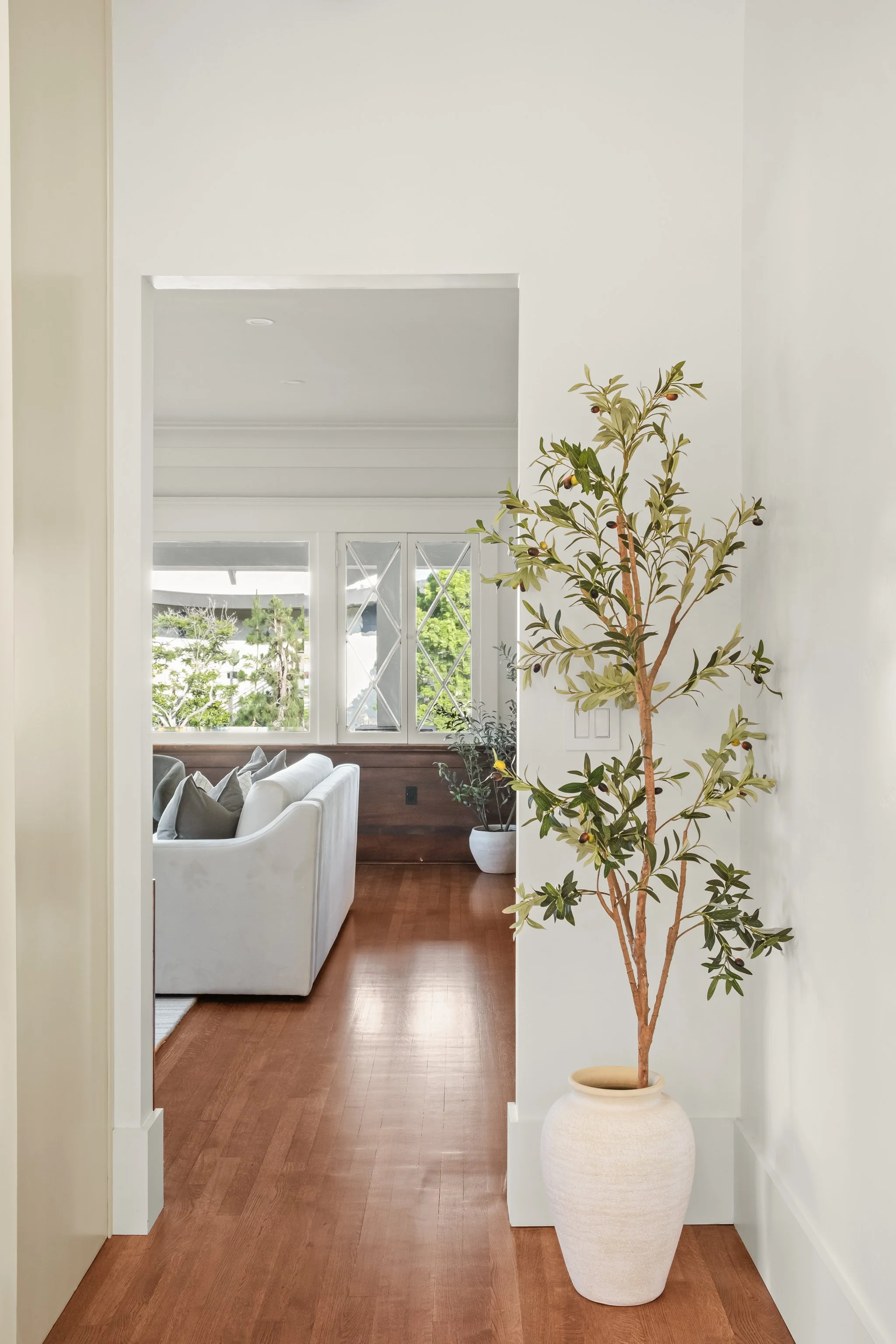 A hallway with wooden flooring leading to a living room area with a white sofa. A tall potted plant with green leaves is in a beige pot against a white wall in the foreground.